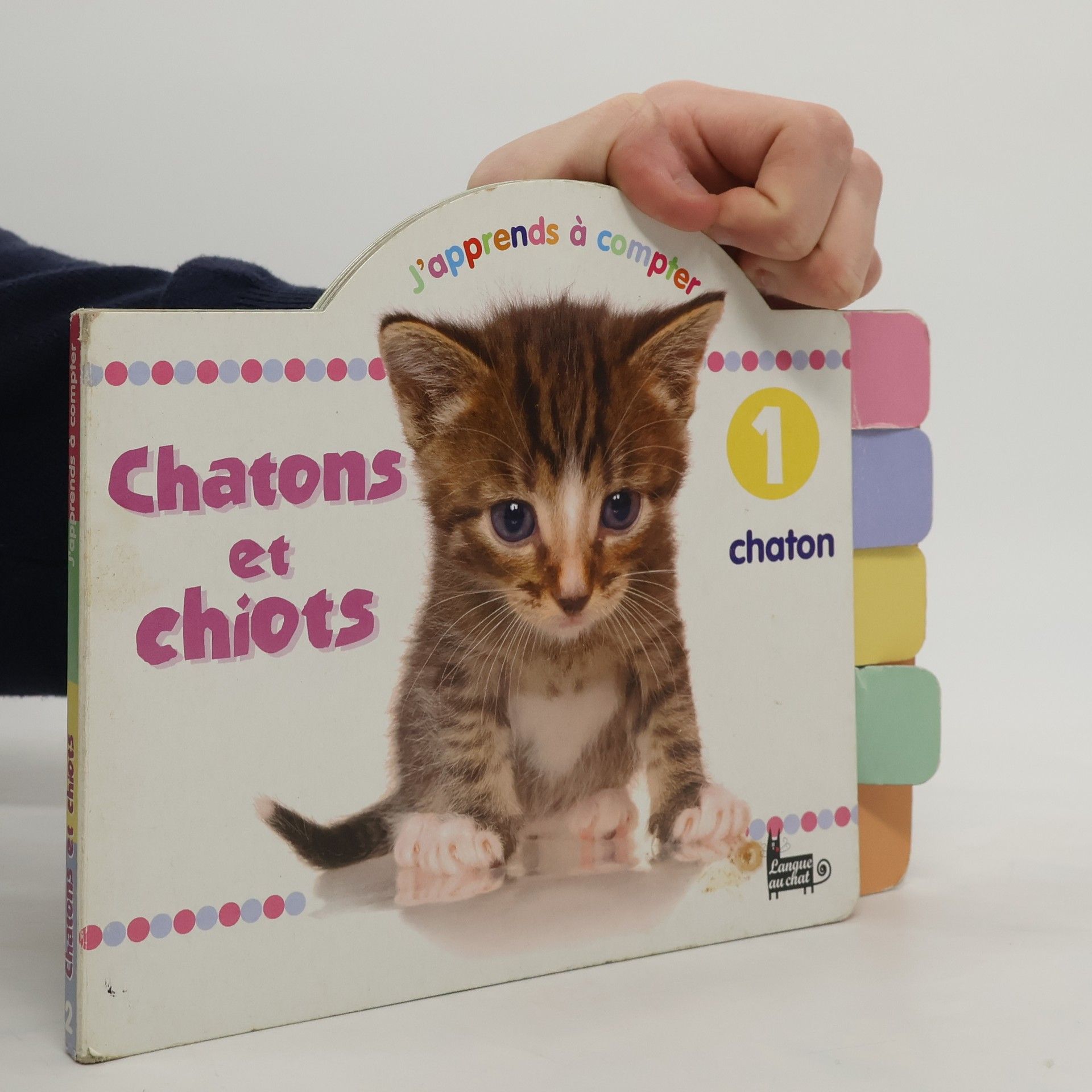 Chatons et chiots