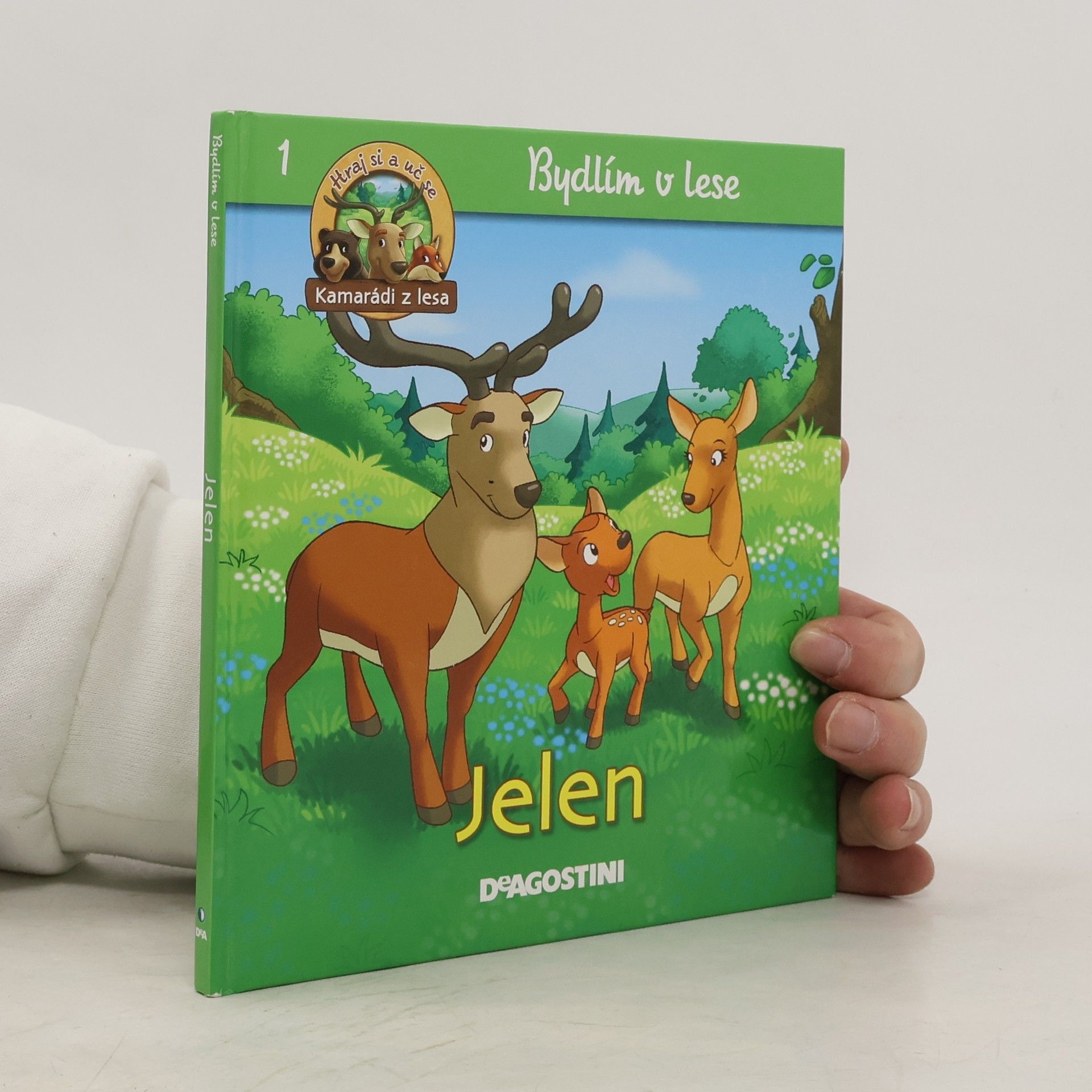 Autorenkollektiv Bydlím v lese. Jelen