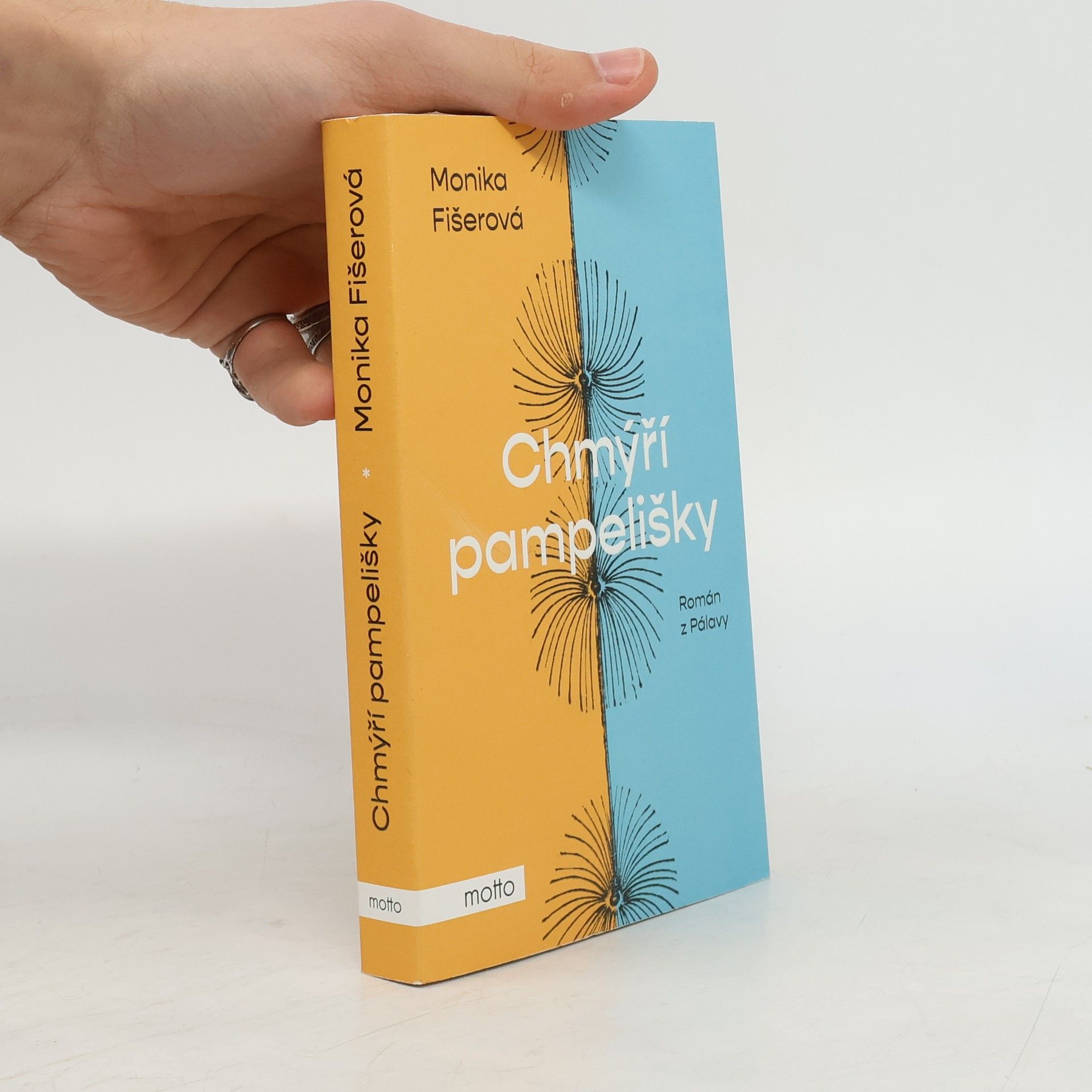 Monika Fišerová Chmýří pampelišky