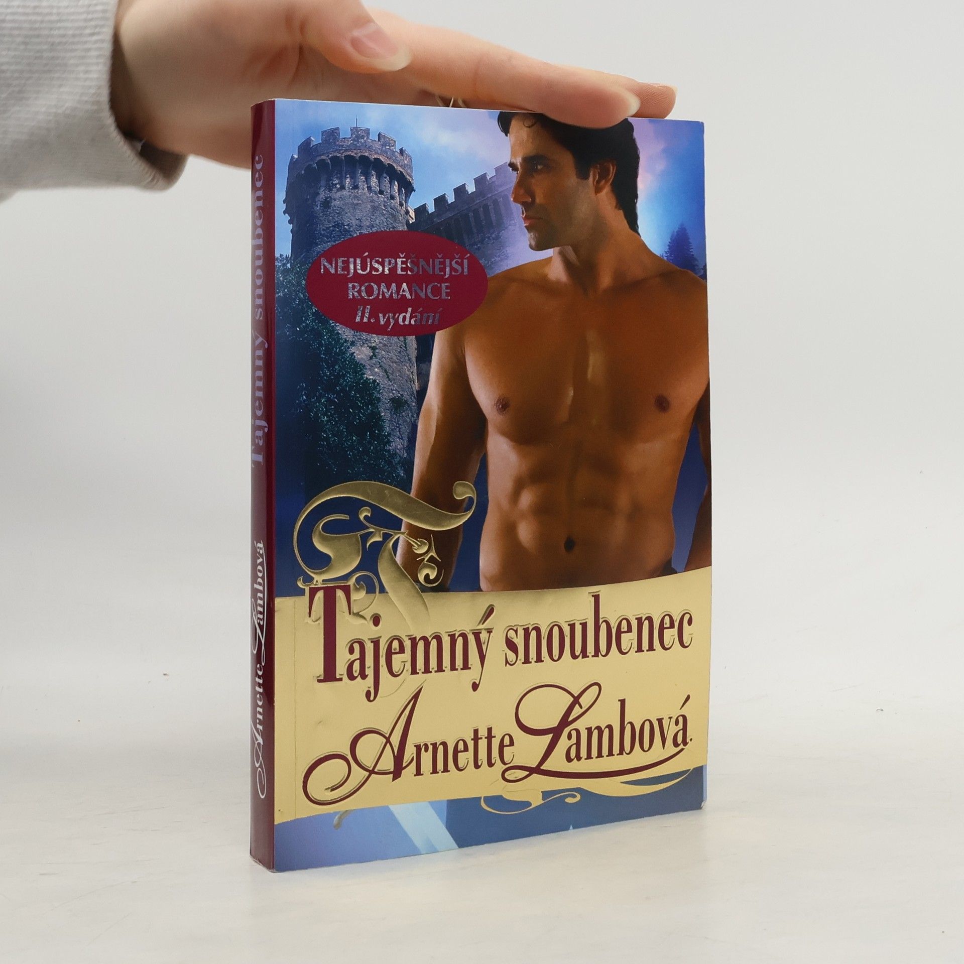 Arnette Lamb Tajemný snoubenec