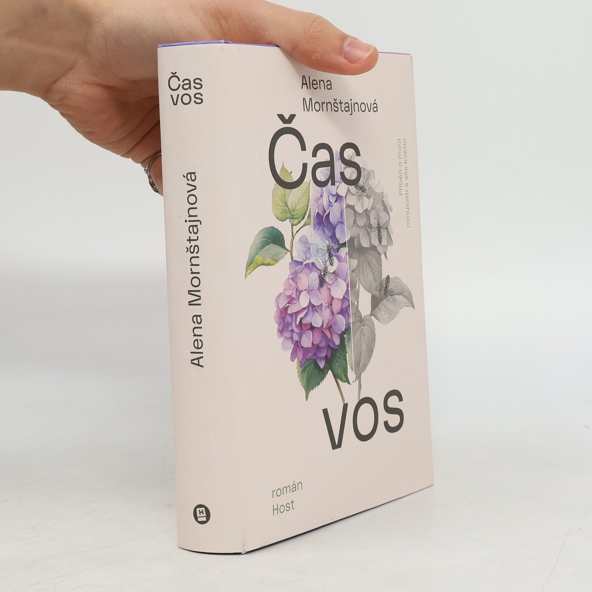 Alena Mornštajnová Čas vos