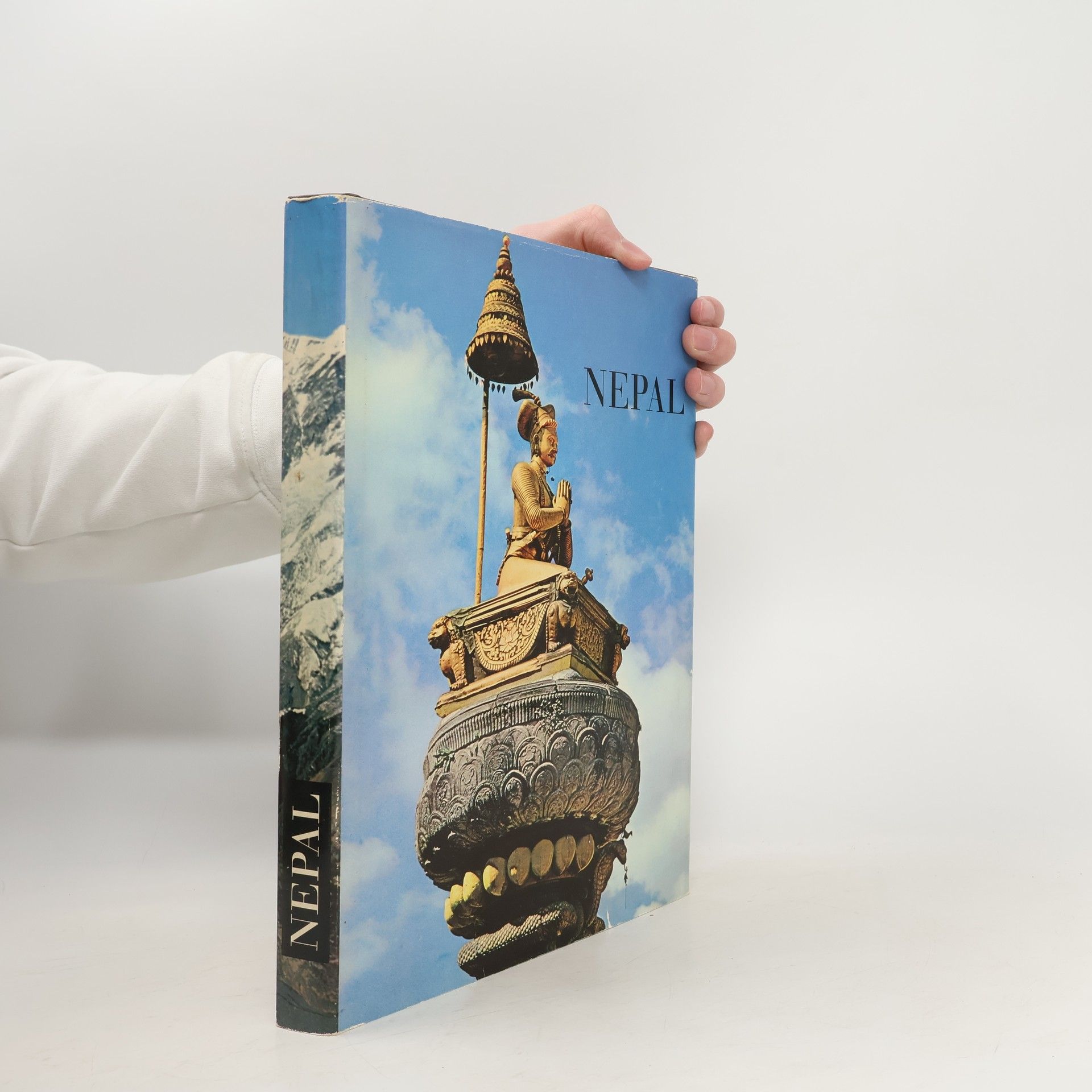 Arthur Dürst Nepal