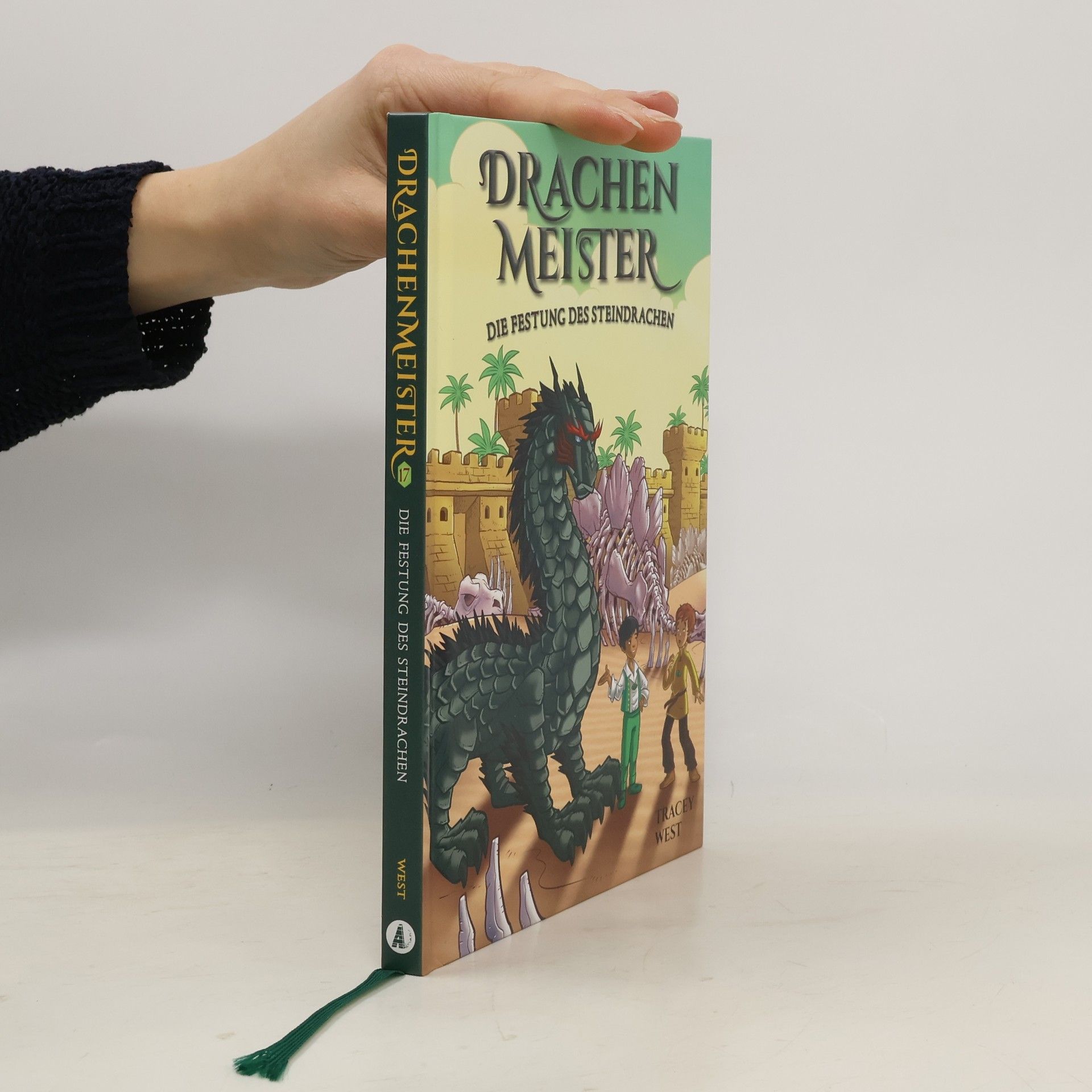 Tracey West Drachenmaster 17: Die Festung des Steindrachen