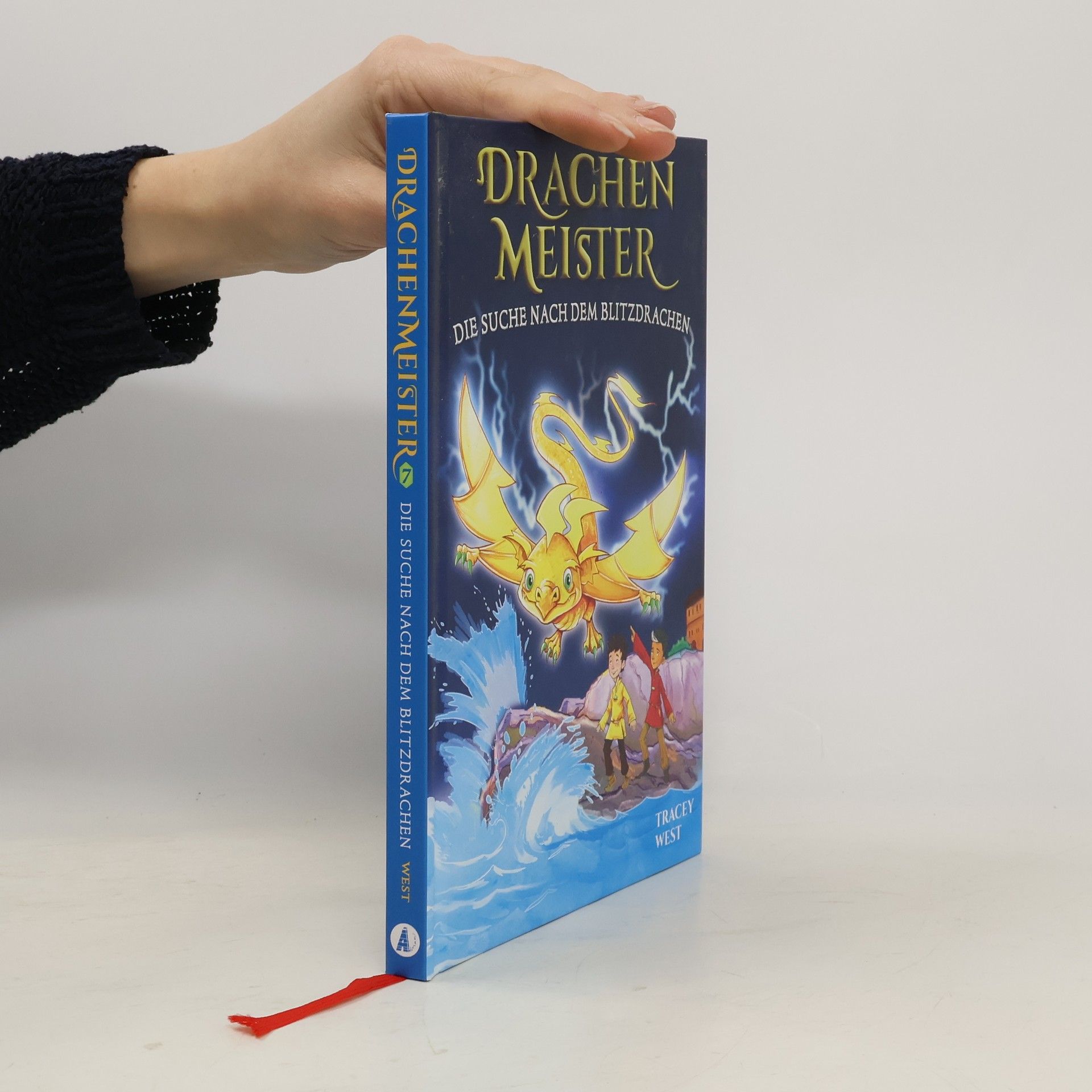 Die Suche nach dem Blitzdrachen