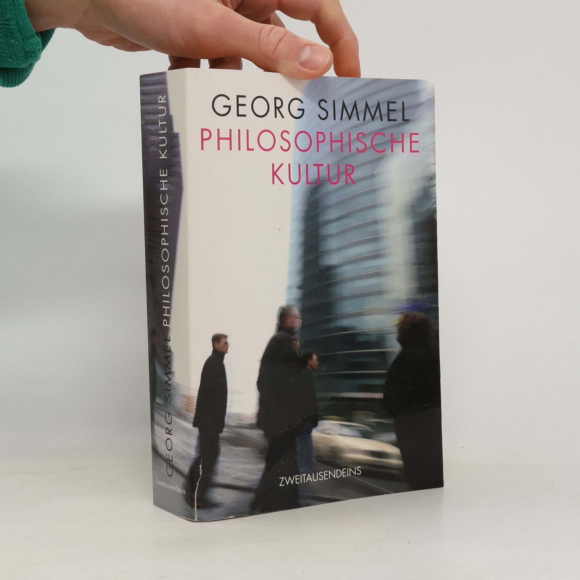 Georg Simmel Philosophische Kultur