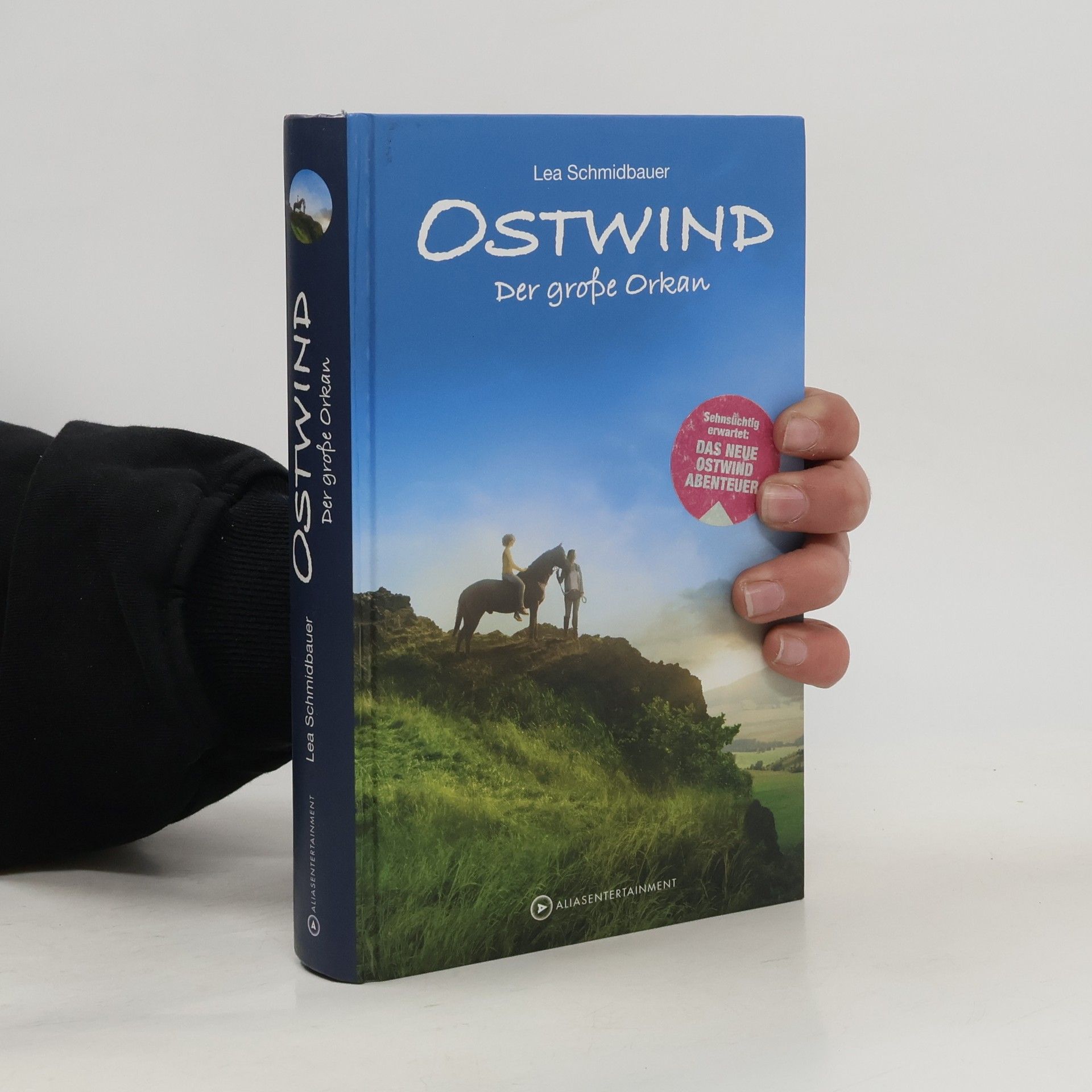 Lea Schmidbauer Ostwind. Der große Orkan