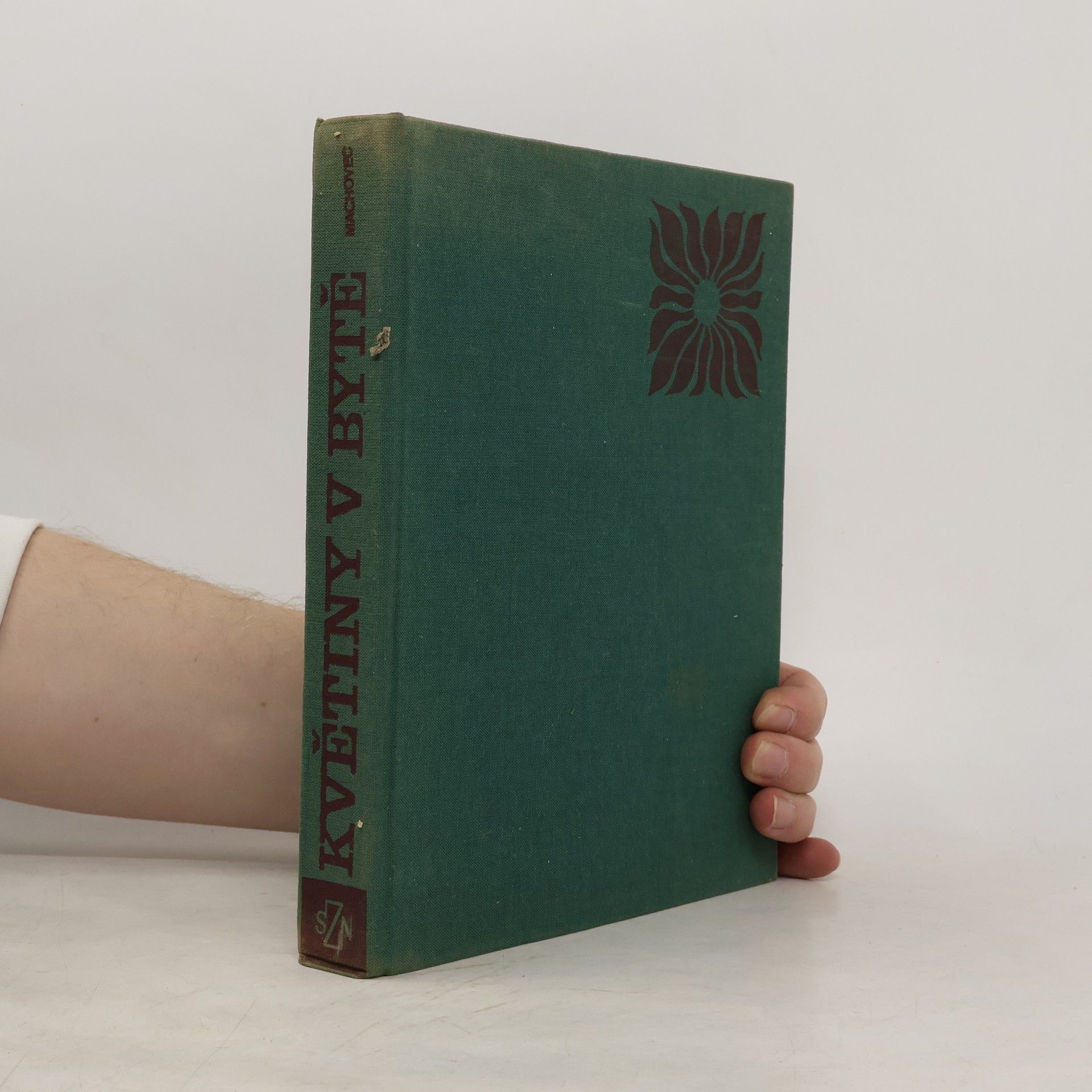 Jaroslav Machovec Květiny v bytě