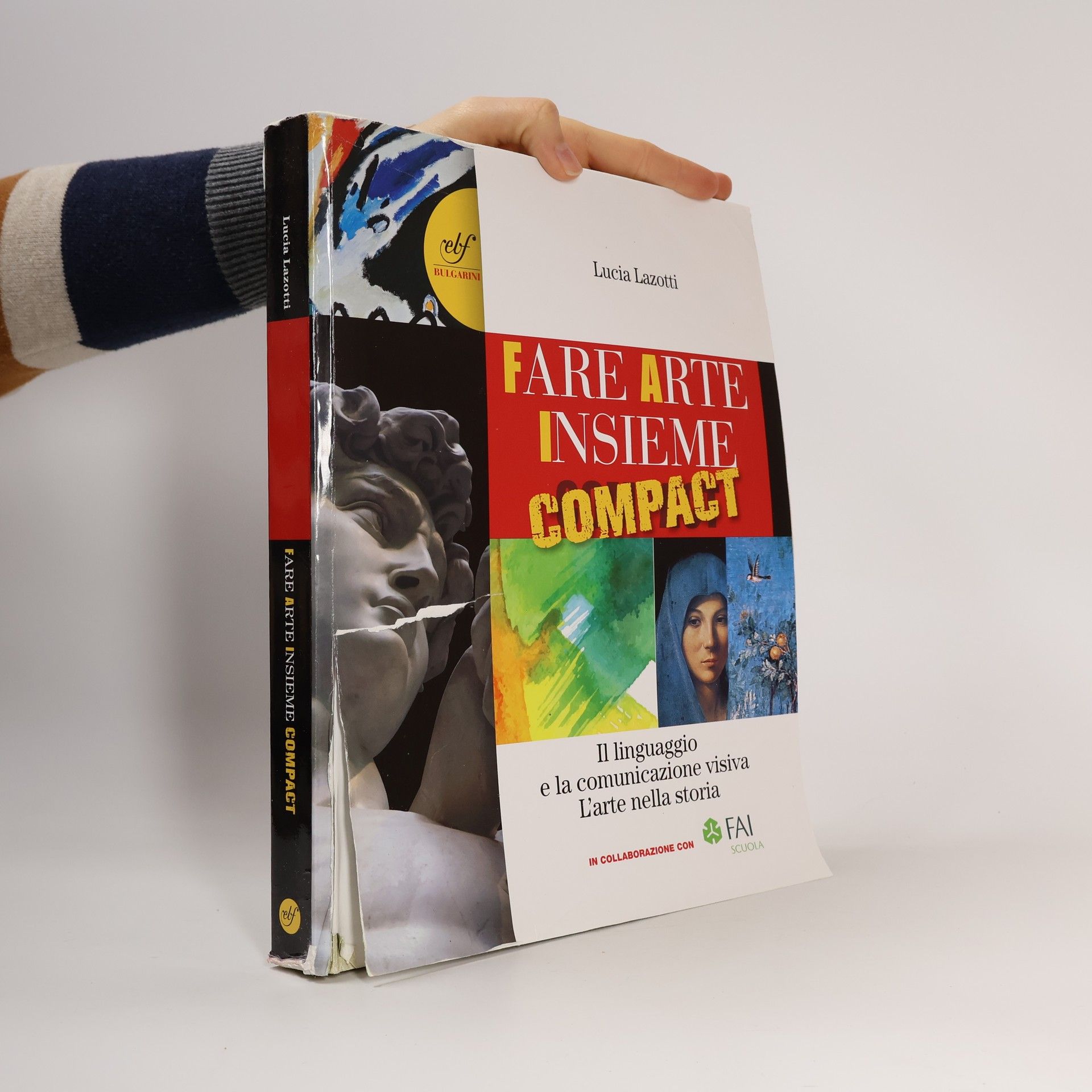 Lucia Lazotti Fare arte insieme. Compact