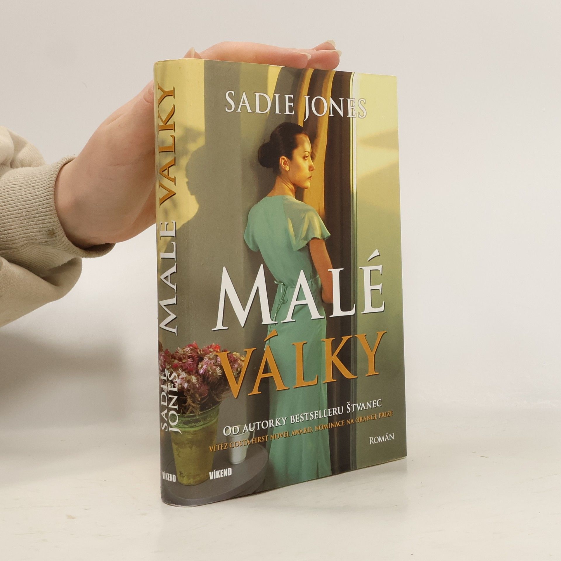 Sadie Jones Malé války