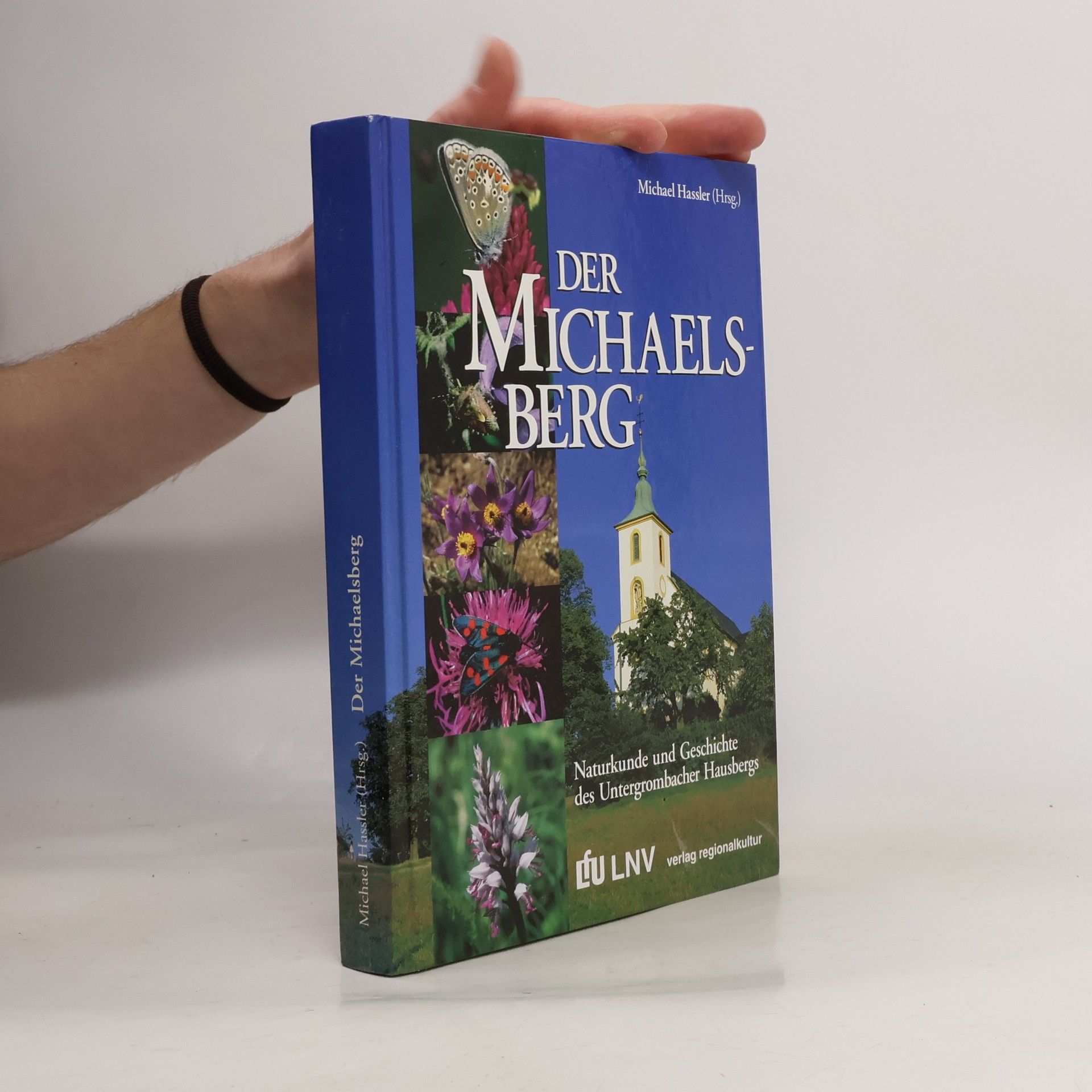 Michael Hassler Der Michaelsberg