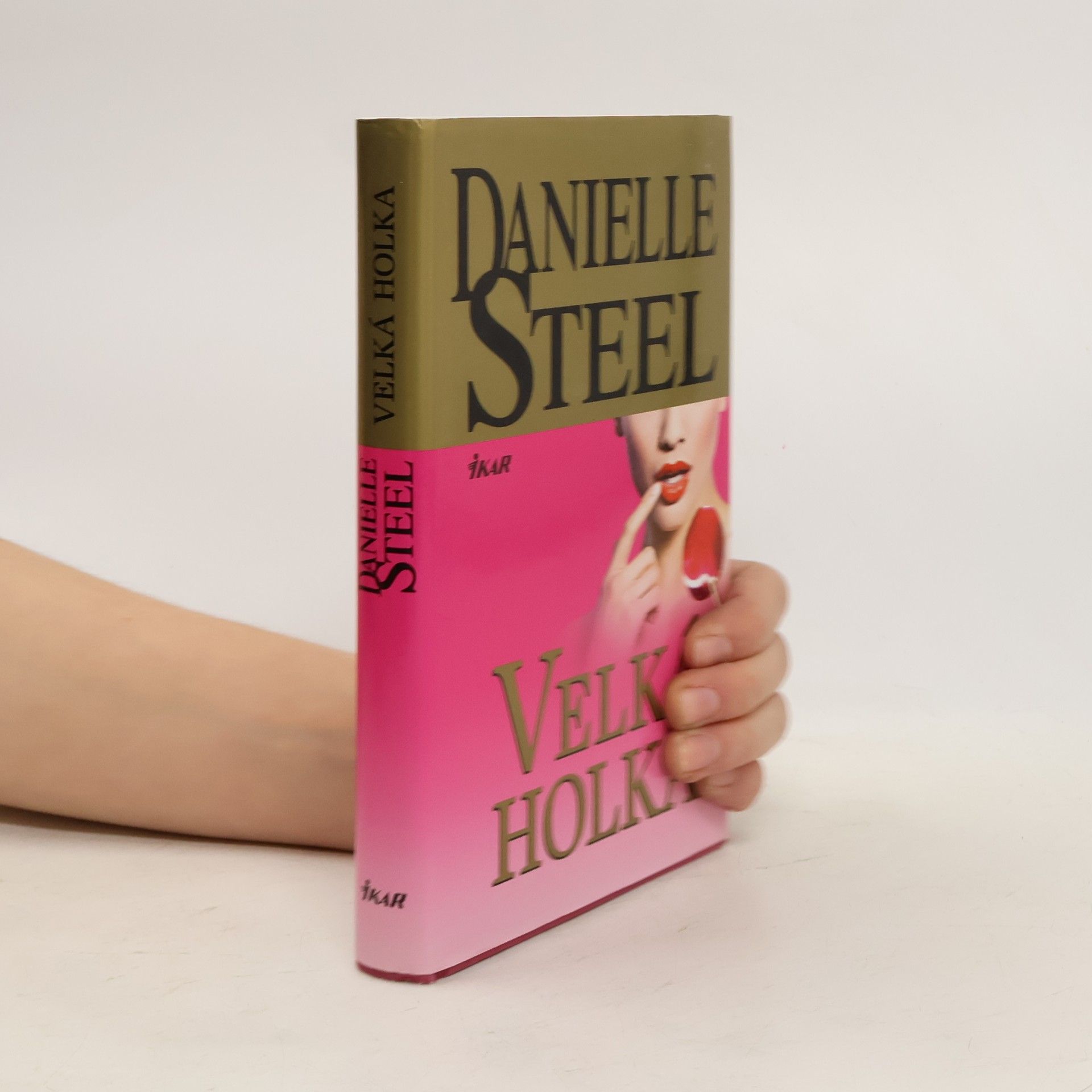 Danielle Steel Velká holka