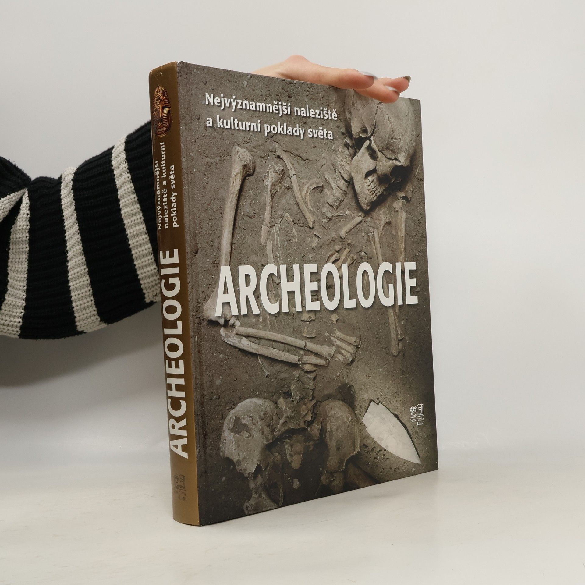 Archeologie: Nejvýznamnější naleziště a kulturní poklady světa