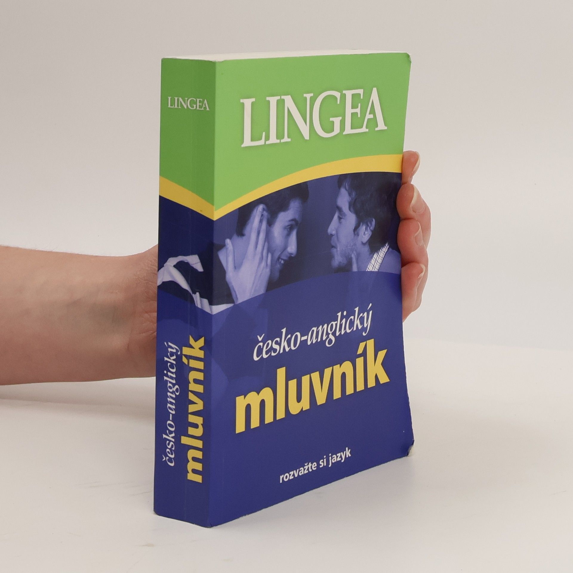 AA.VV. Česko-anglický mluvník