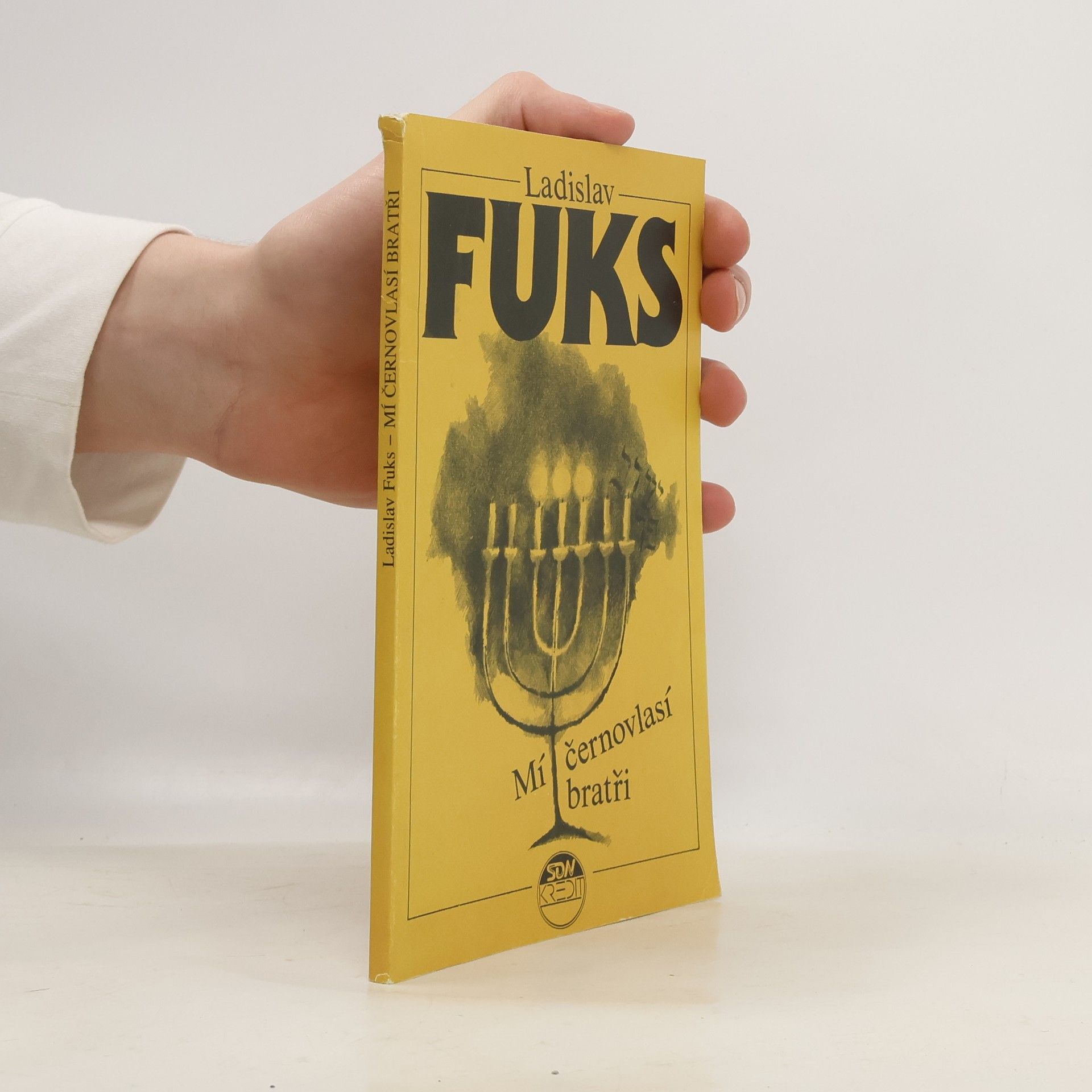 Ladislav Fuks Mí černovlasí bratři