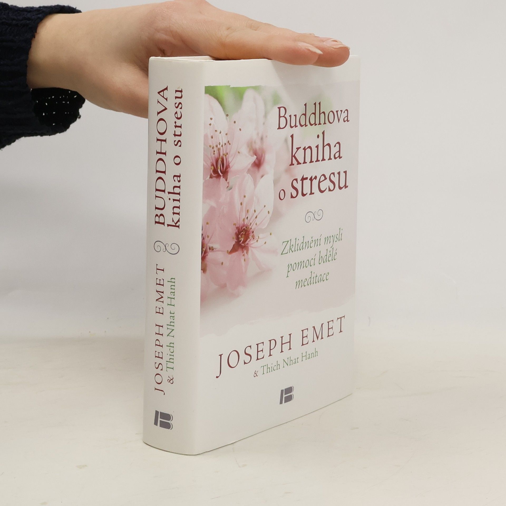Joseph Emet Buddhova kniha o stresu: Zklidnění mysli pomocí bdělé meditace