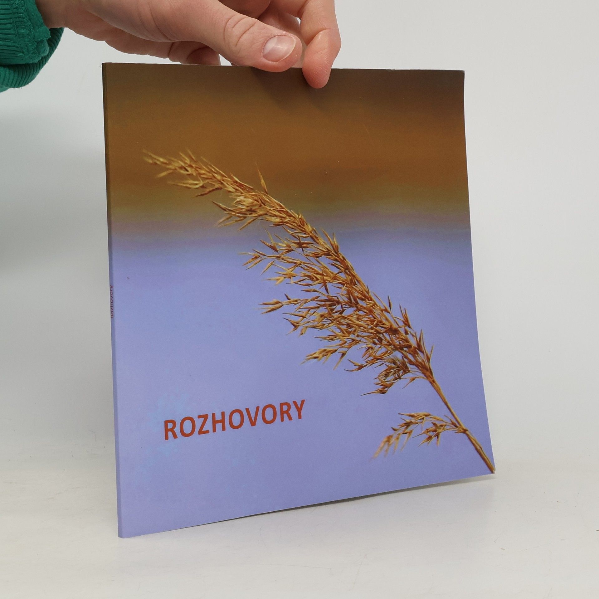 Hana Černíková Rozhovory