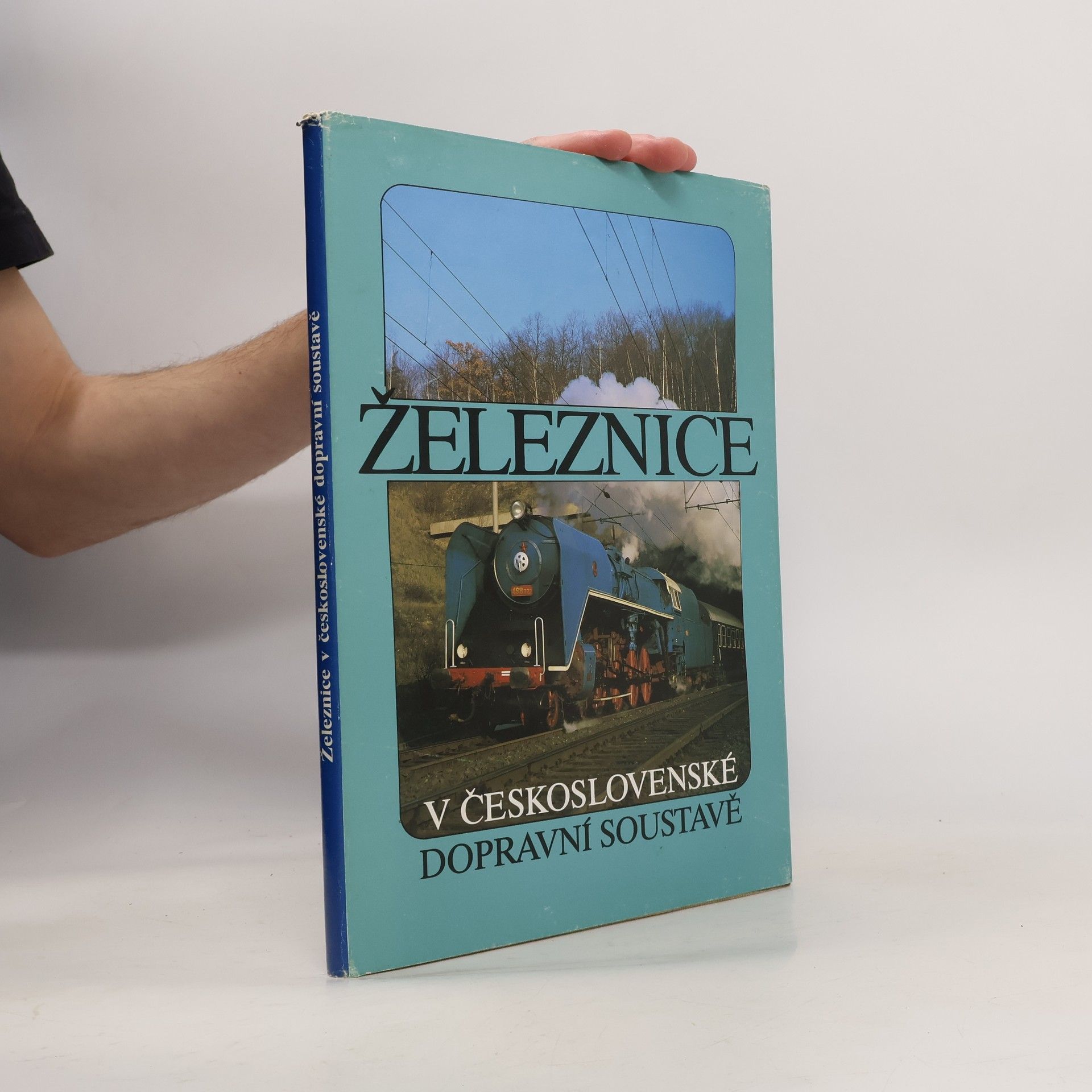 Petr Koubek Železnice v československé dopravní soustavě