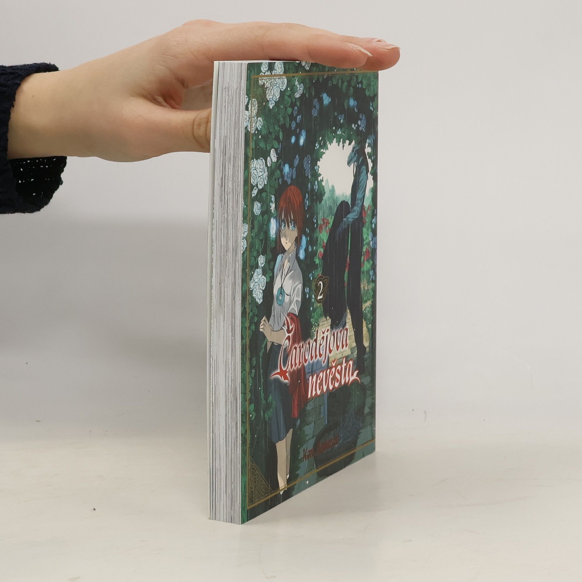 Kore Jamazaki Čarodějova nevěsta 2