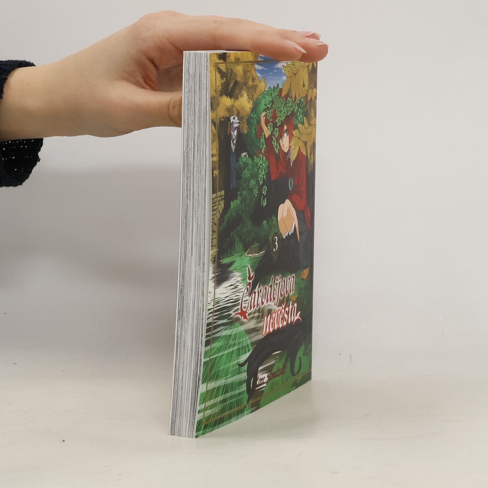 Kore Jamazaki Čarodějova nevěsta 3