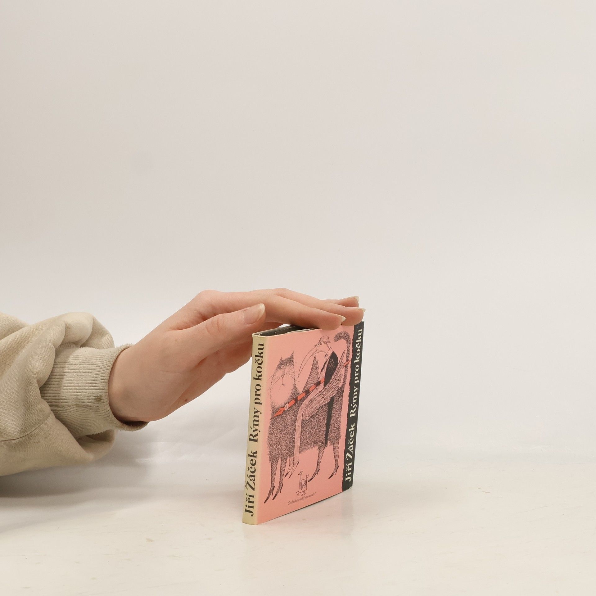 Jiří Žáček Rýmy pro kočku