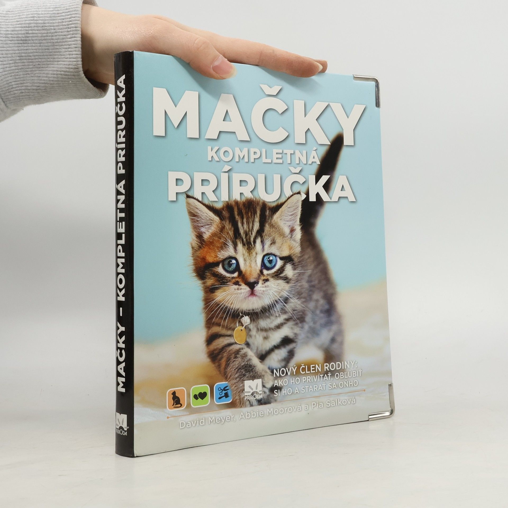 Autorenkollektiv Mačky kompletná príručka
