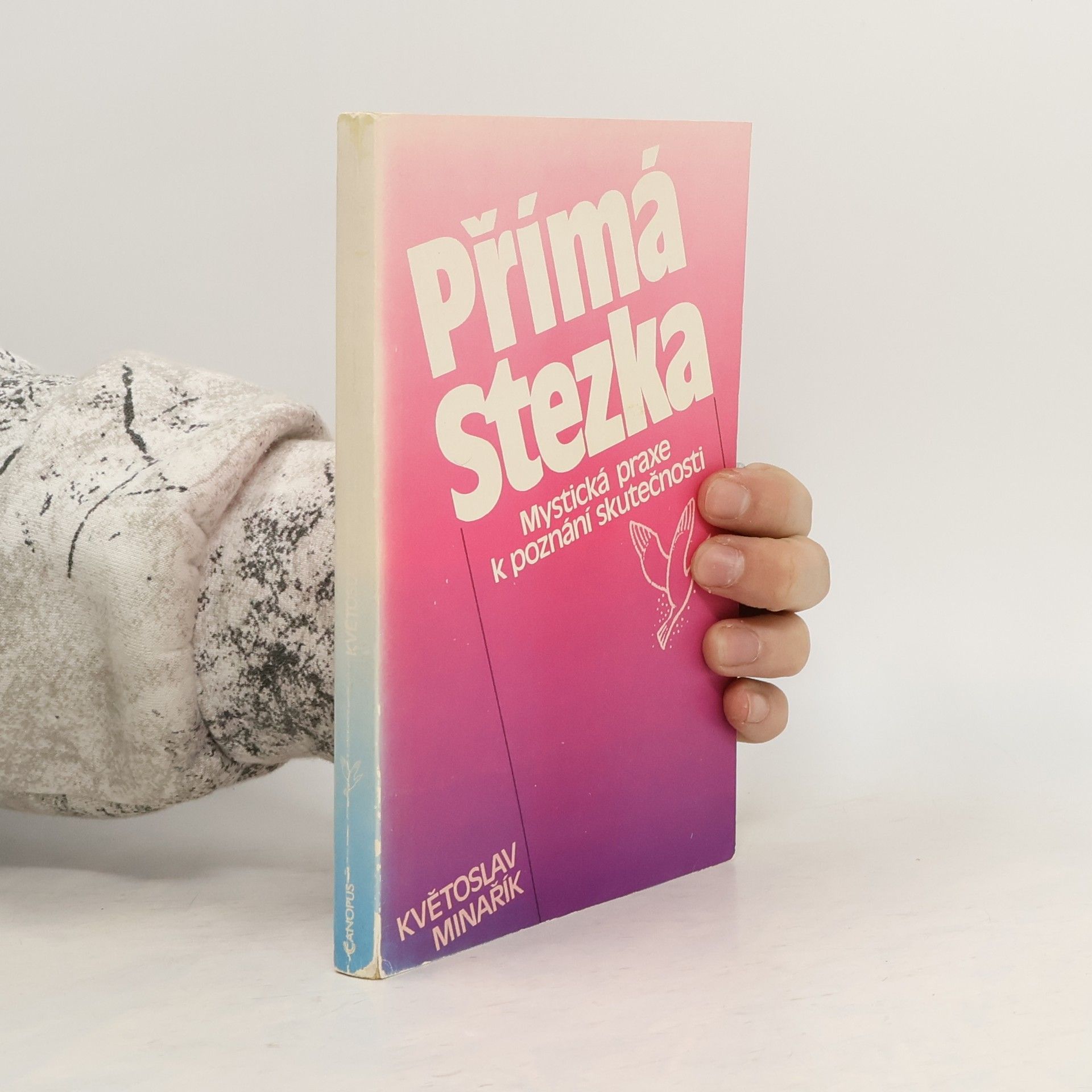 Kvetoslav Minarik Přímá stezka