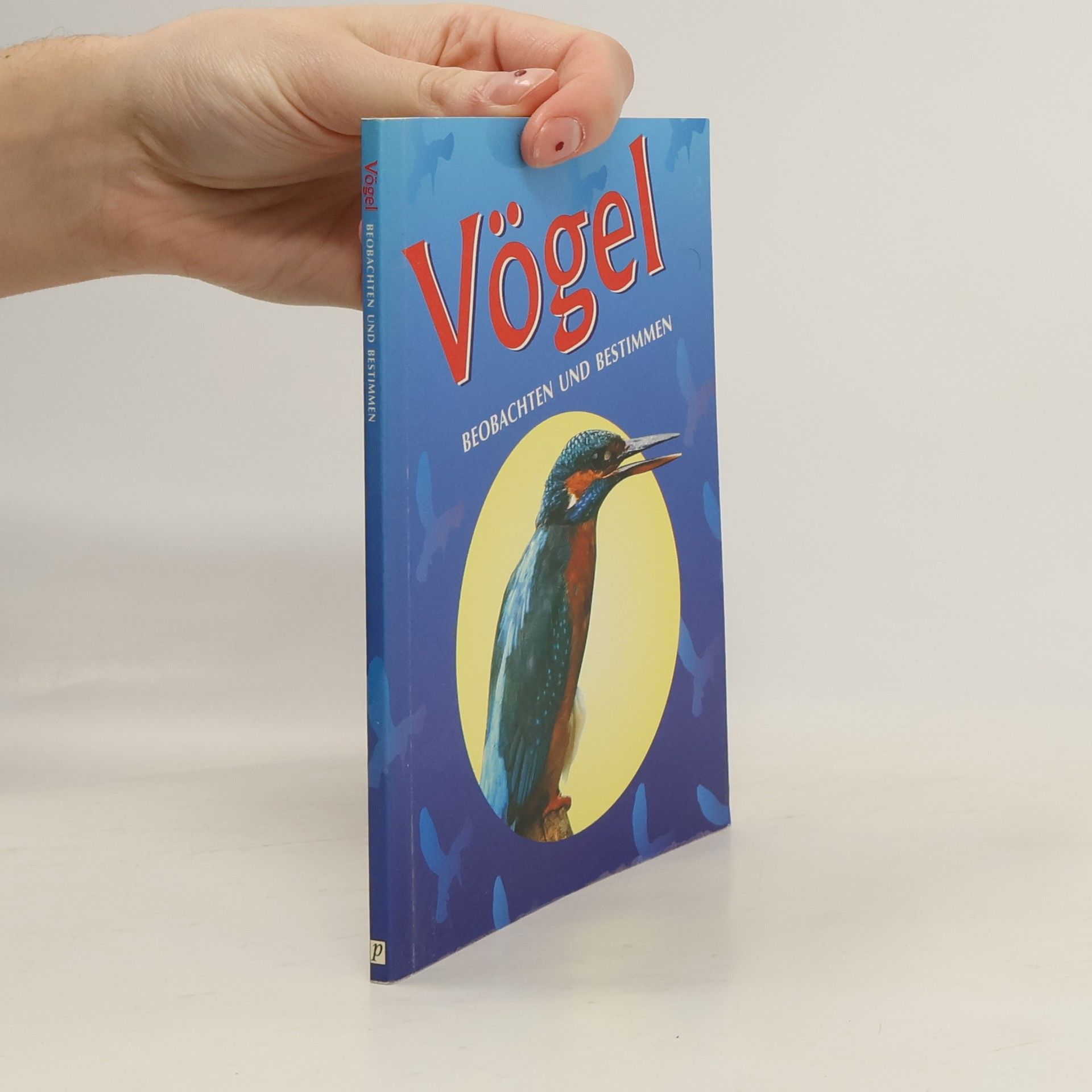 Autorenkollektiv Vögel beobachten und bestimmen