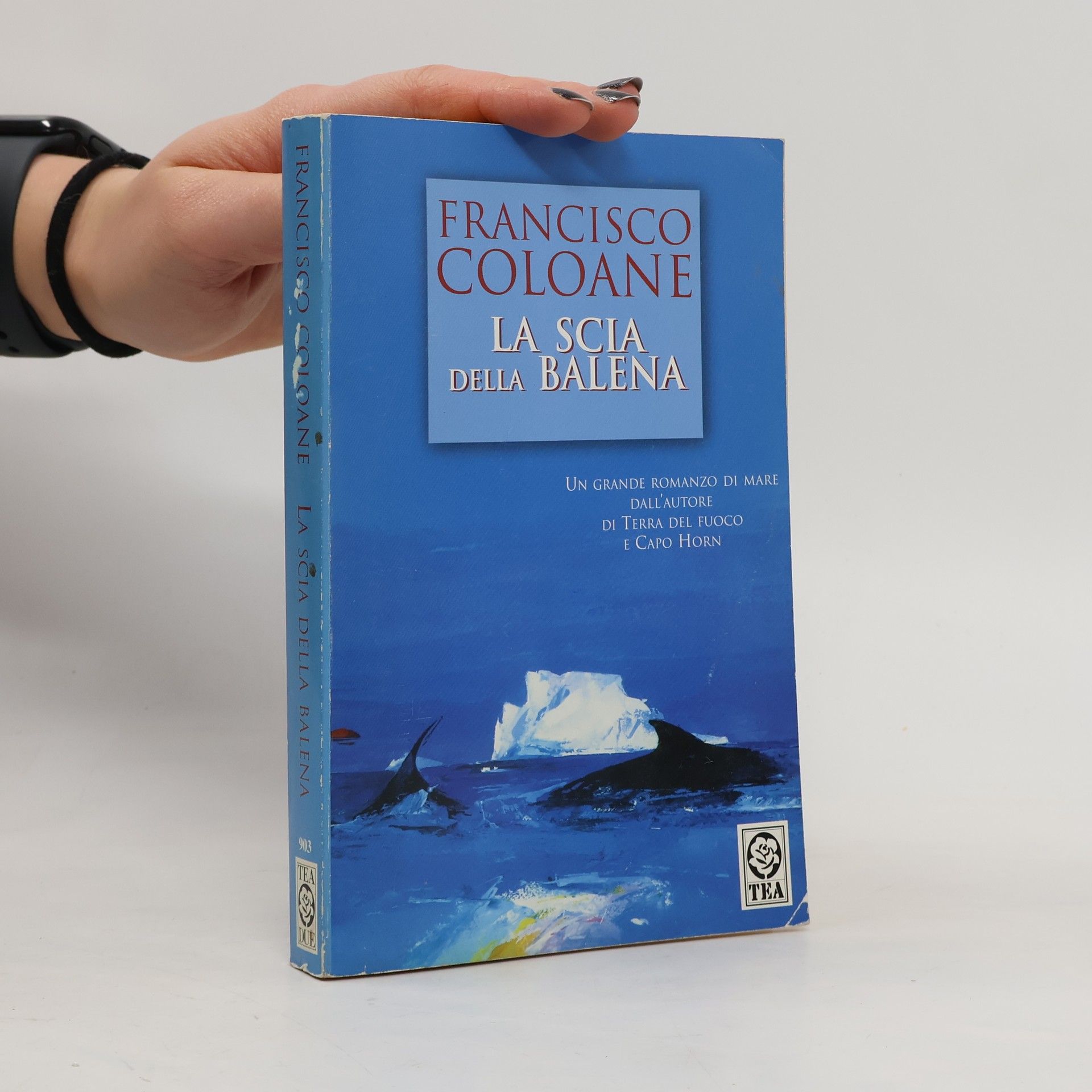 La scia della balena