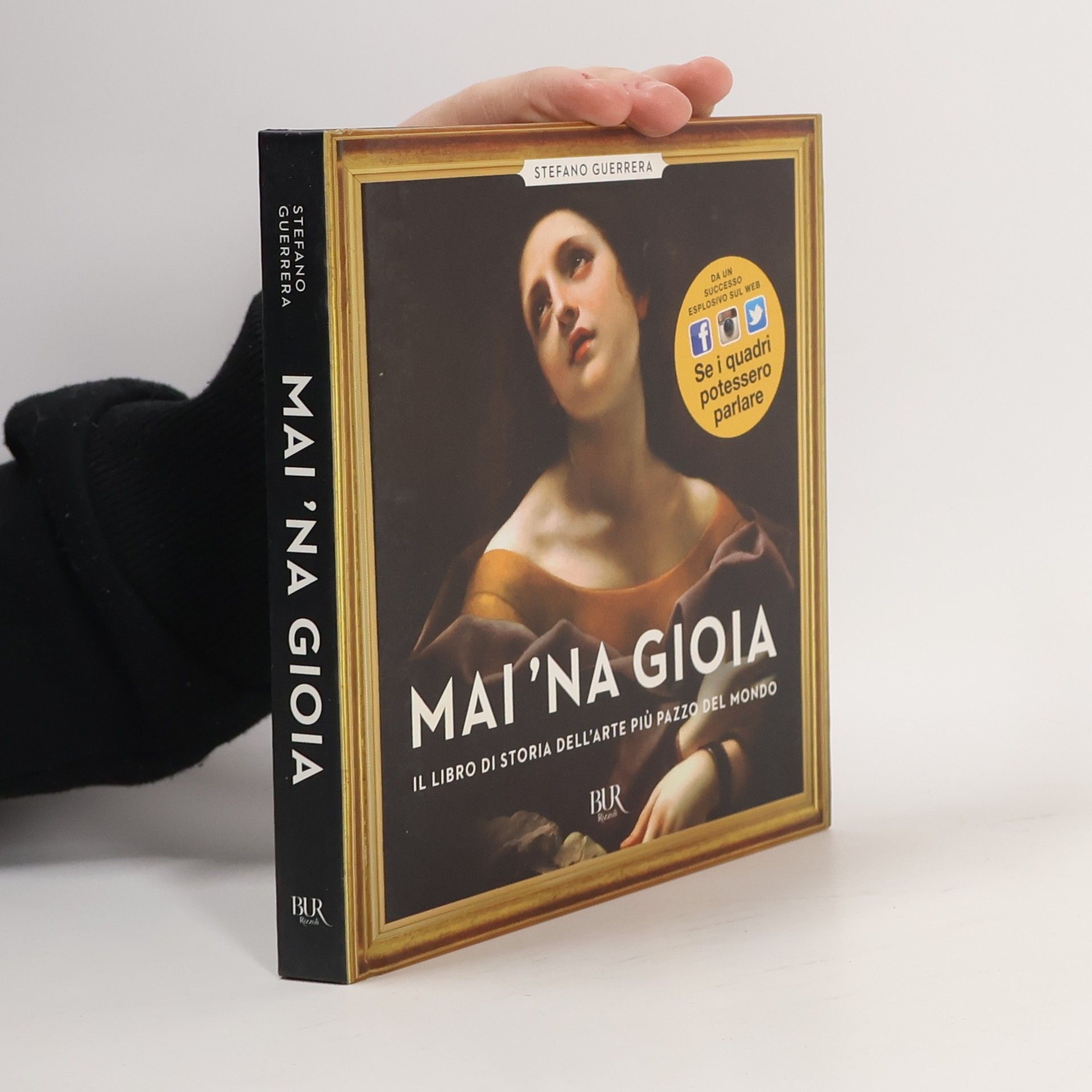 Stefano Guerrera Mai 'na gioia. Il libro di storia dell'arte più pazzo del mondo