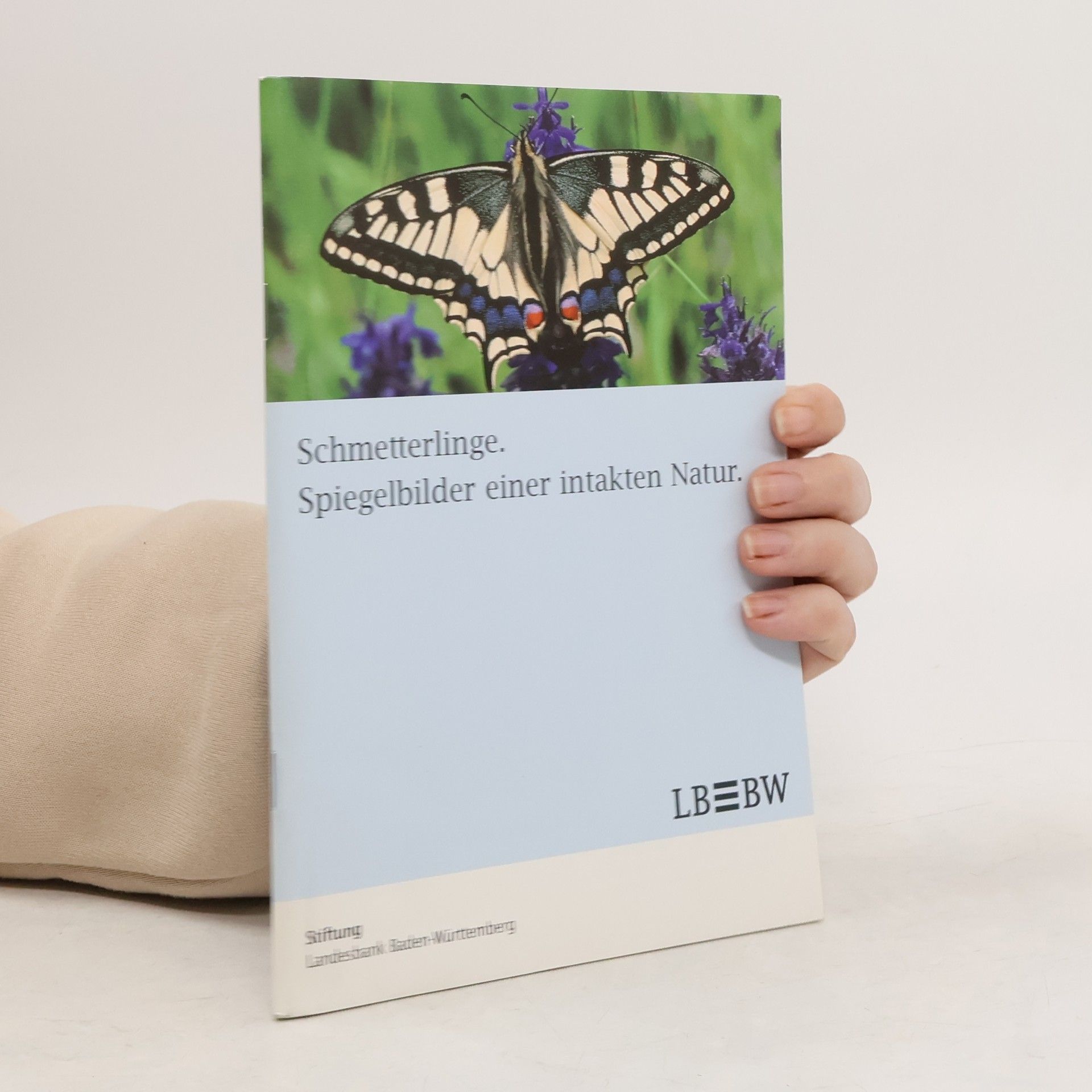 Autorenkollektiv Schmetterlinge