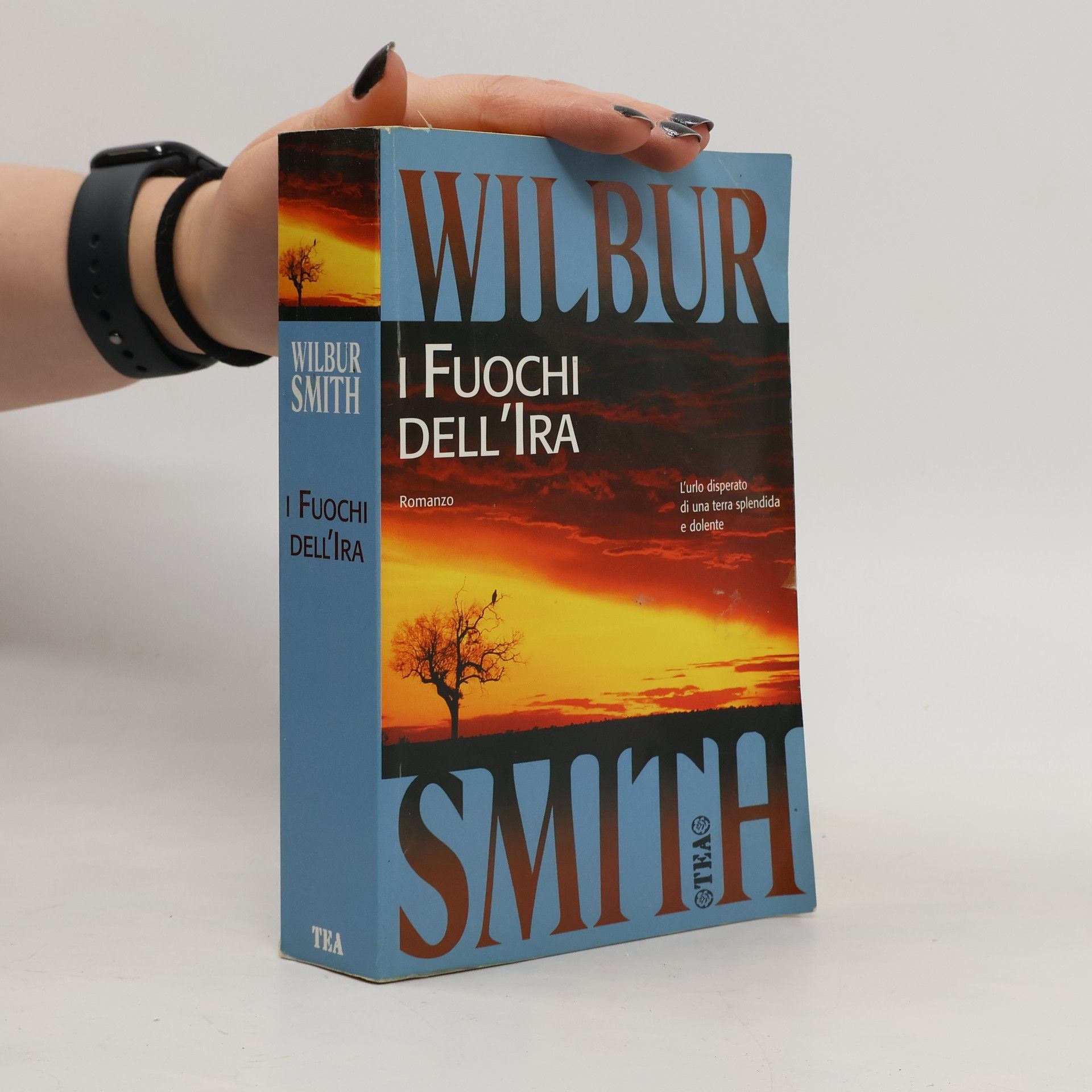 Wilbur Smith I fuochi dell'ira
