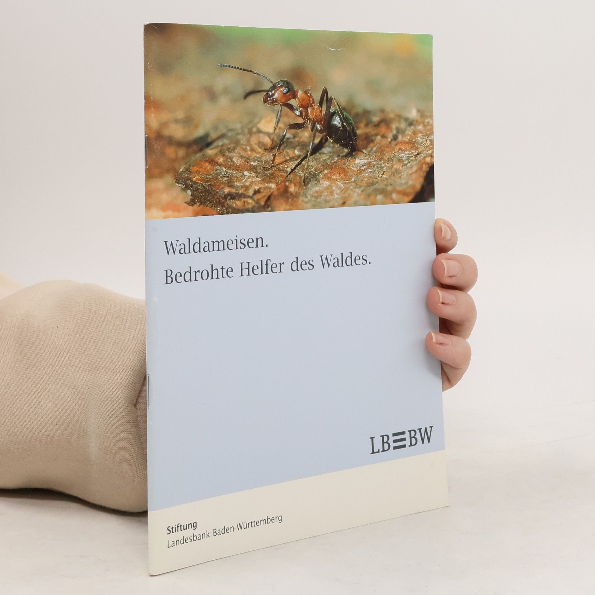 Autorenkollektiv Waldameisen