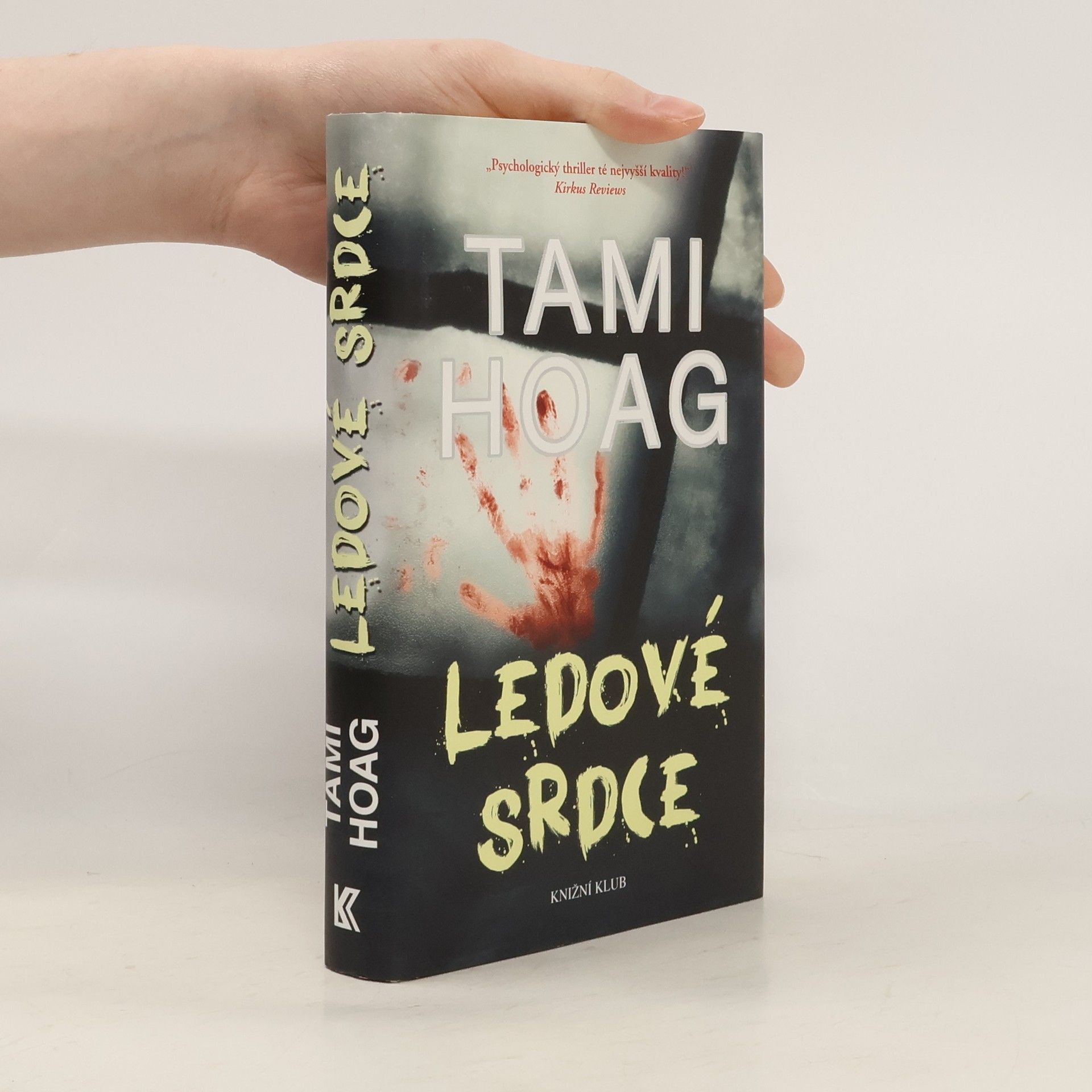 Tami Hoag Ledové srdce