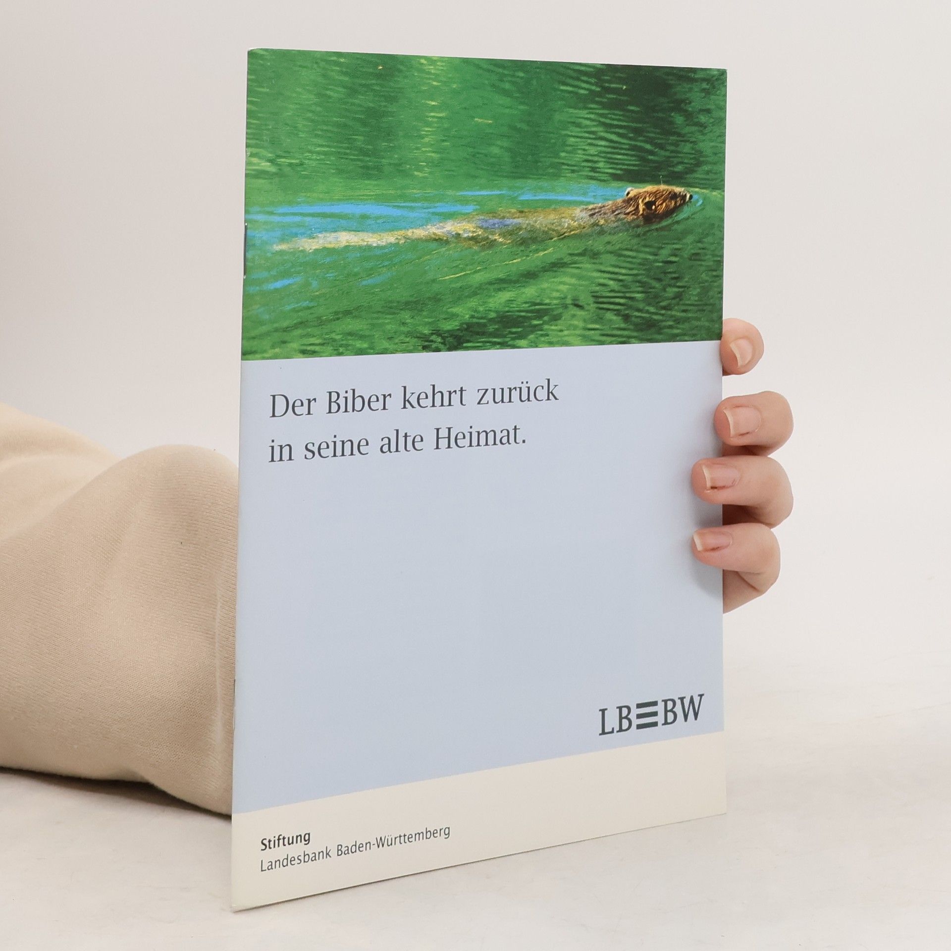Autorenkollektiv Der Biber kehrt zurück in seine alte Heimat