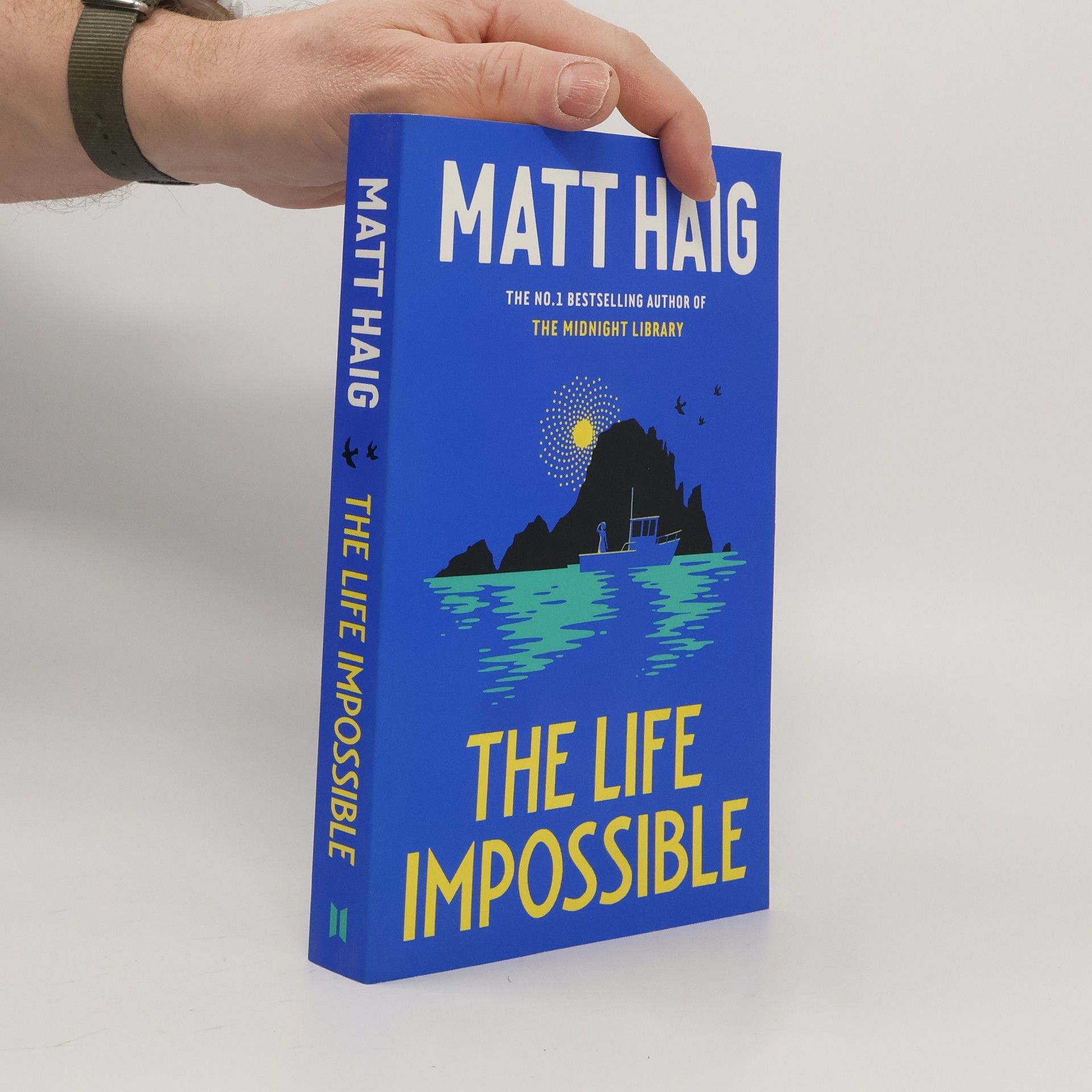Matt Haig The Life Impossible