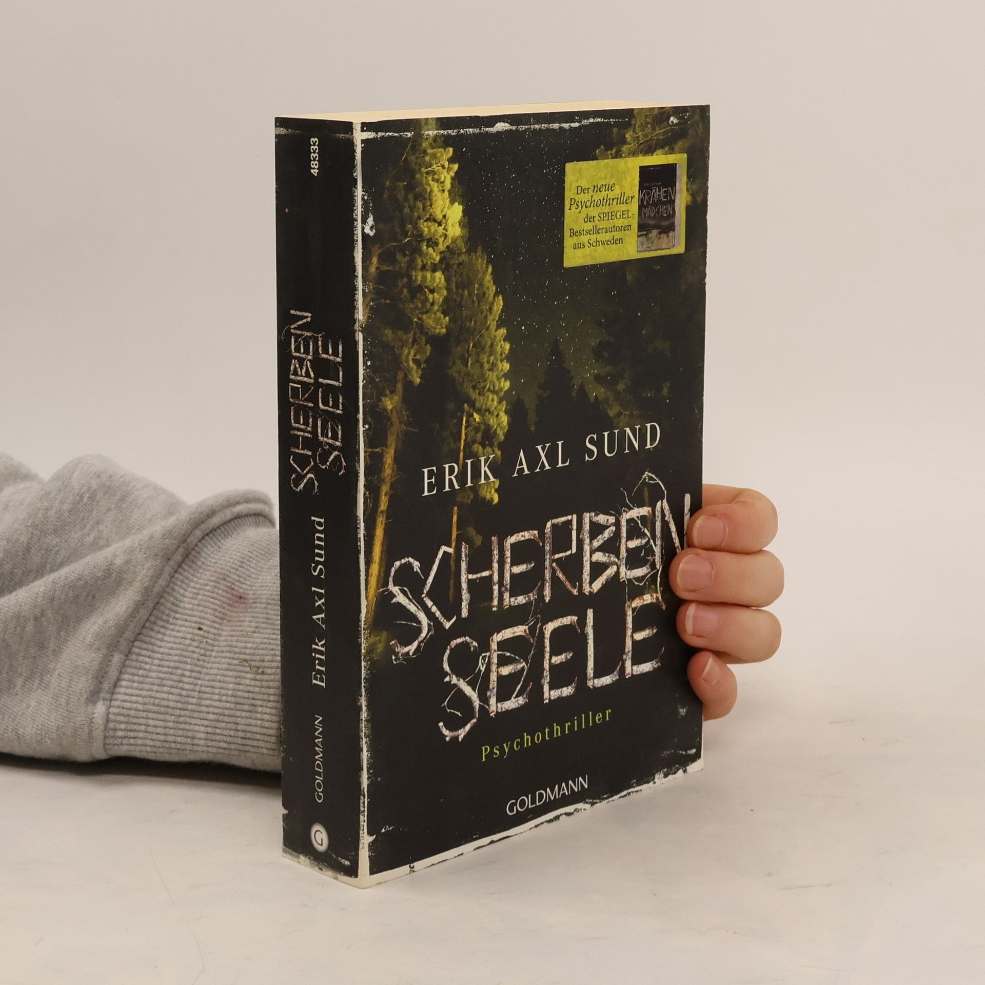 Erik Axl Sund Scherbenseele