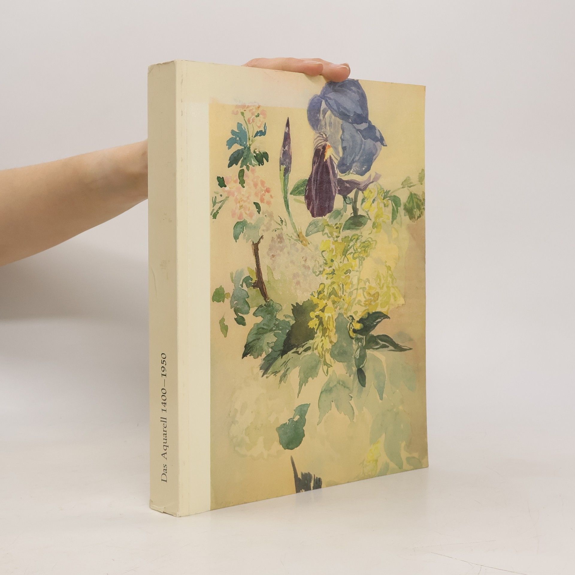 Autorenkollektiv Das Aquarell 1400-1950