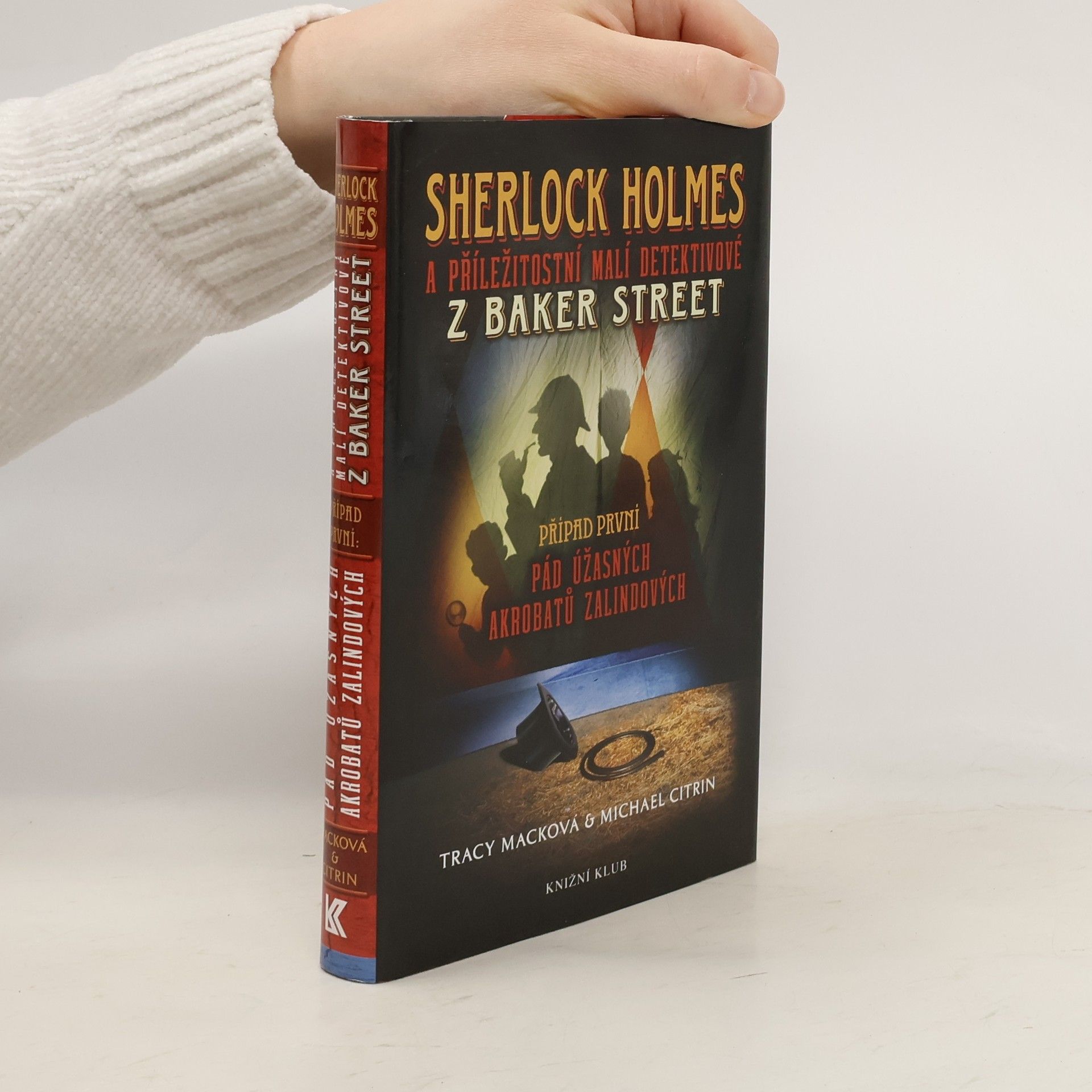 Michael Citrin Sherlock Holmes a příležitostní malí detektivové z Baker Street. Případ první. Pád úžasných akrobatů Zalindových