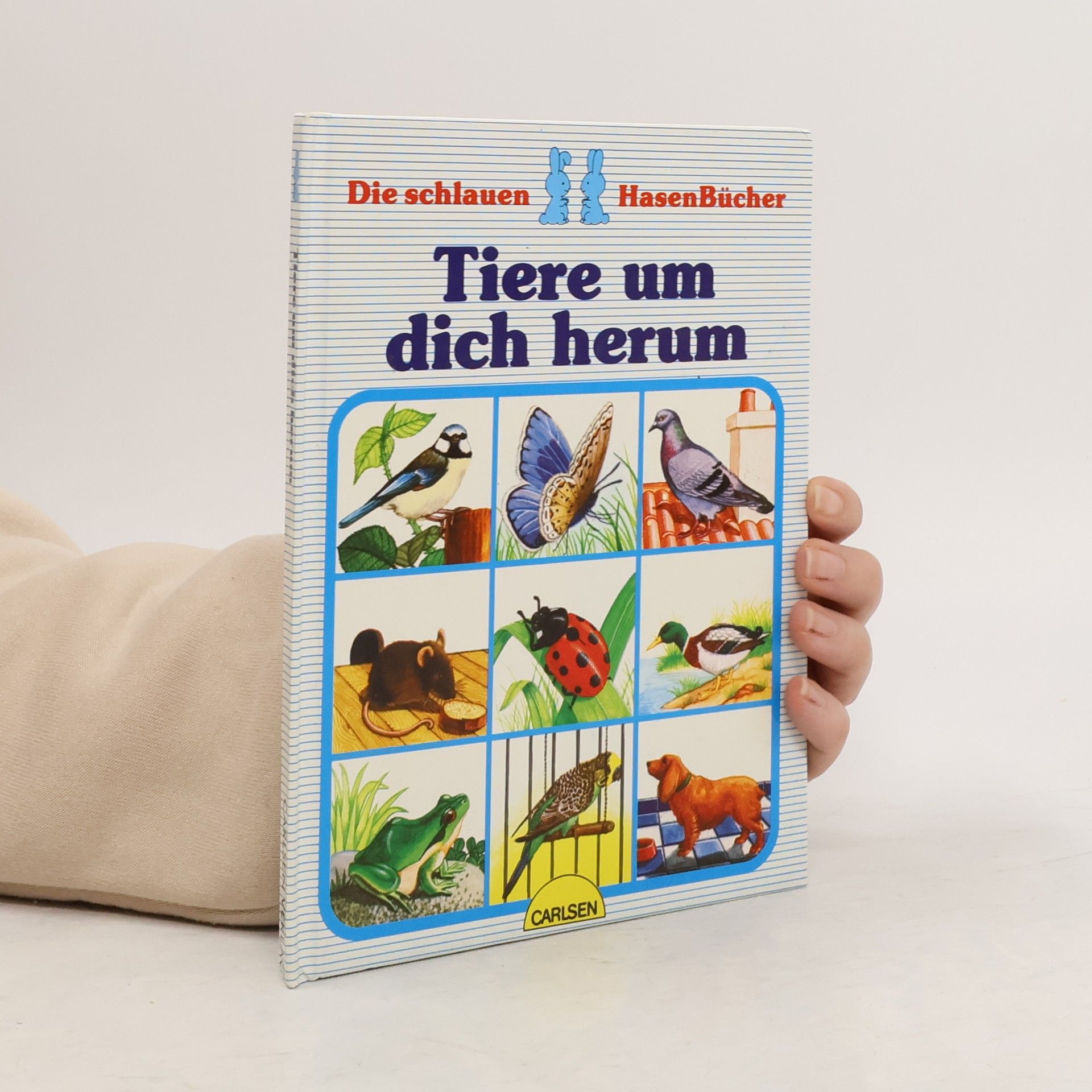 Autorenkollektiv Die schlauen Hasenbücher. Tiere um dich herum