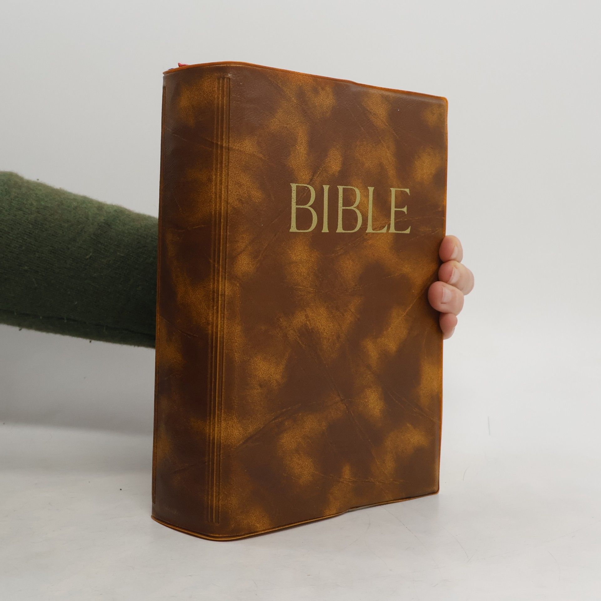 Bible: Písmo svaté Starého a Nového zákona (včetně deuterokanonických knih) : český ekumenický překlad