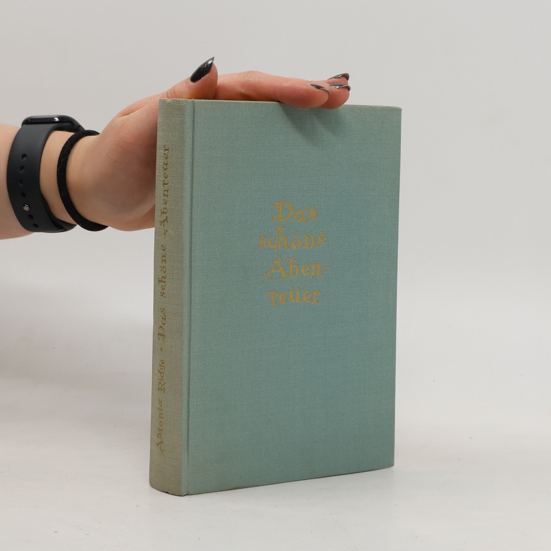 Antonia Ridge Das schöne Abenteuer: Reise durchs Familienalbum