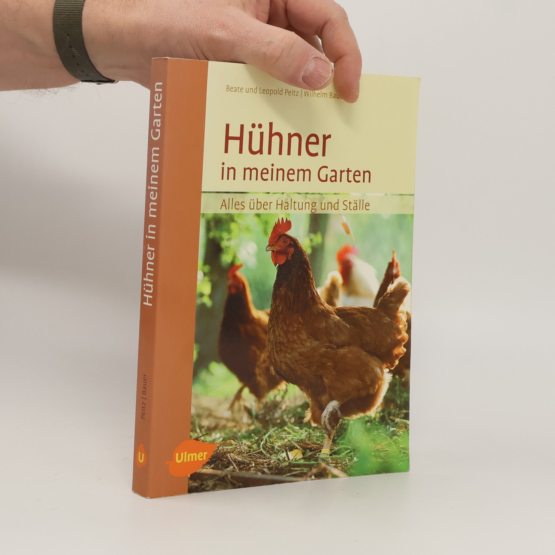 Beate Peitz Hühner in meinem Garten