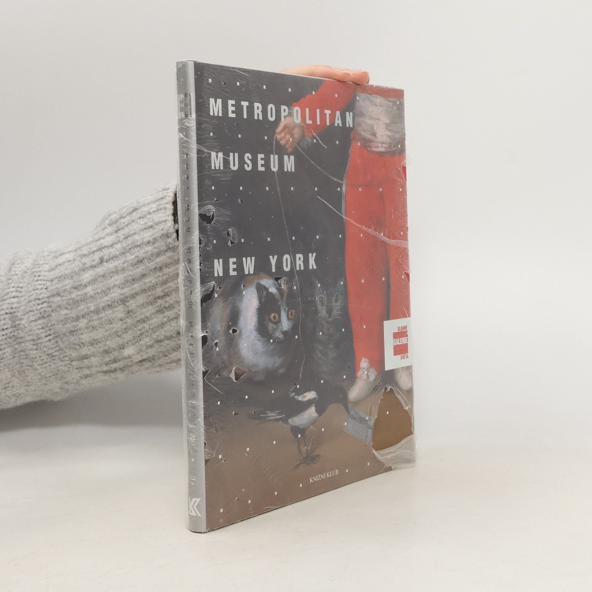 Lucia Impelluso Slavné galerie světa. Metropolitan Museum - New York