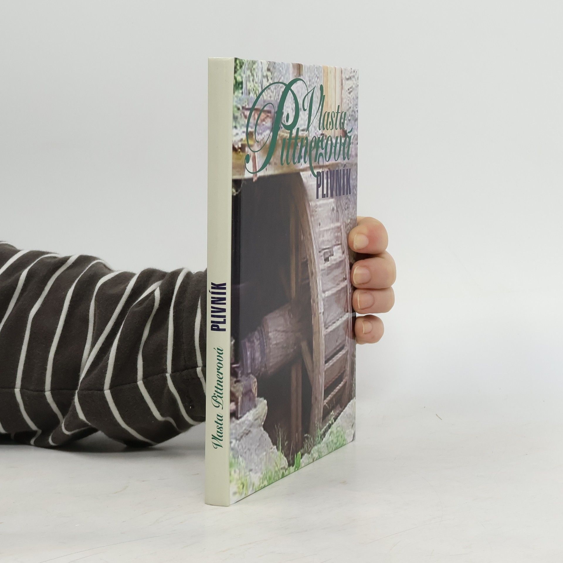 Vlasta Pittnerová Plivník