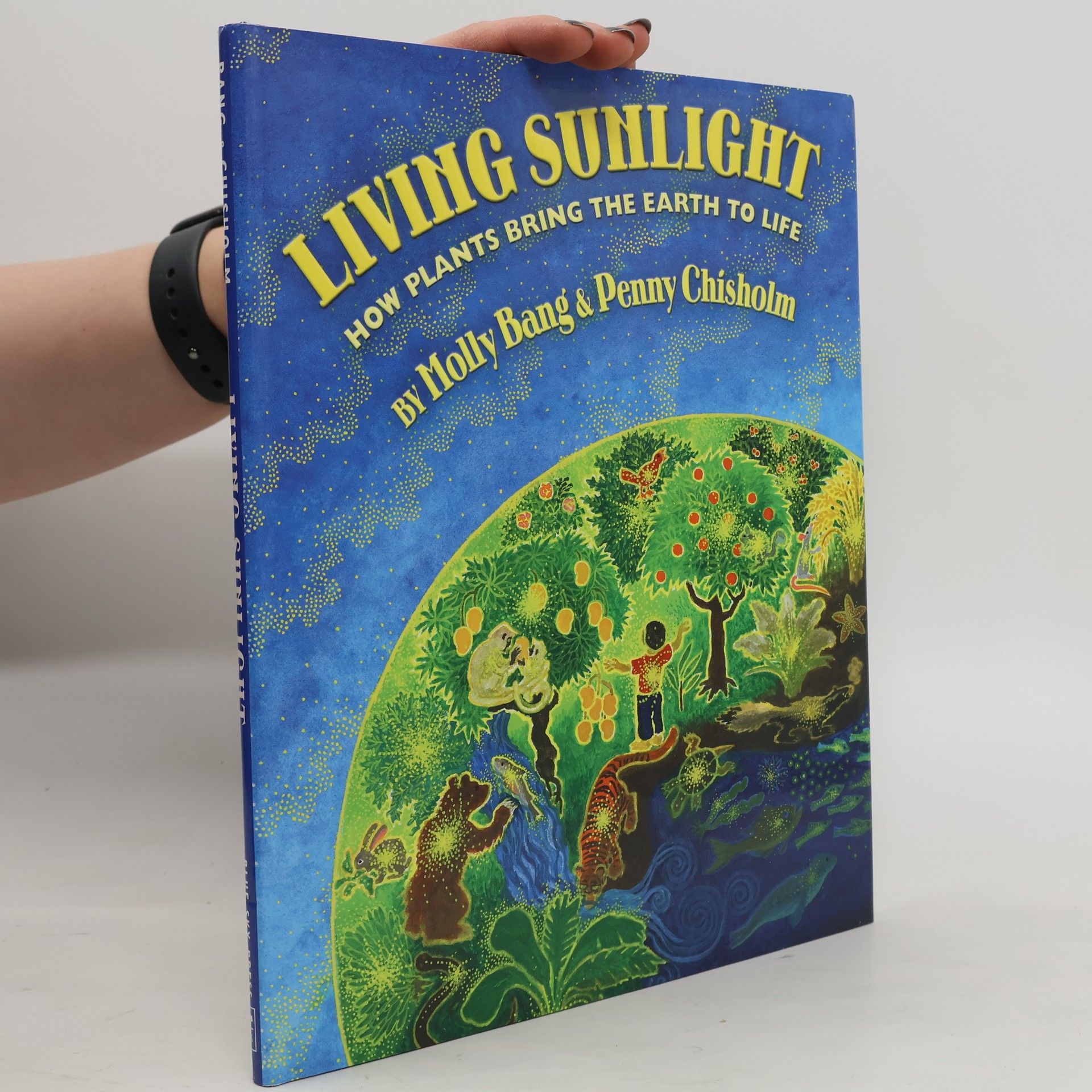 Molly Bang Living Sunlight