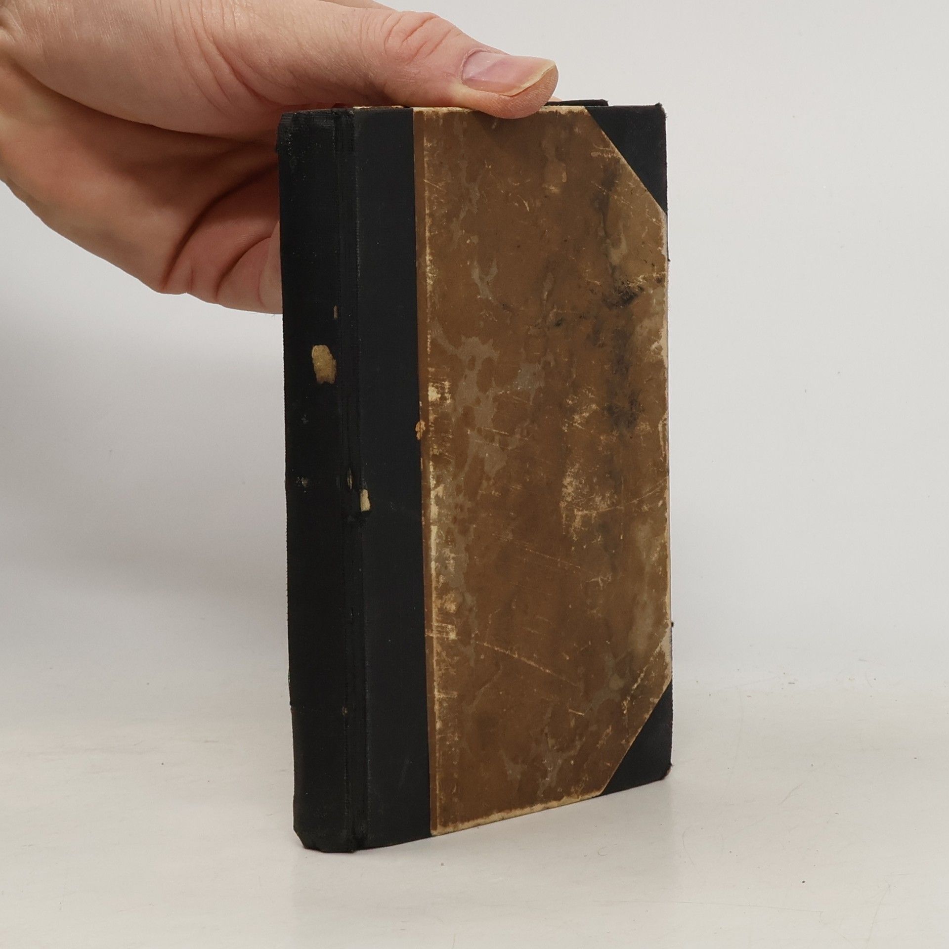 Viktor Kamil Jeřábek Gloria Manzoni