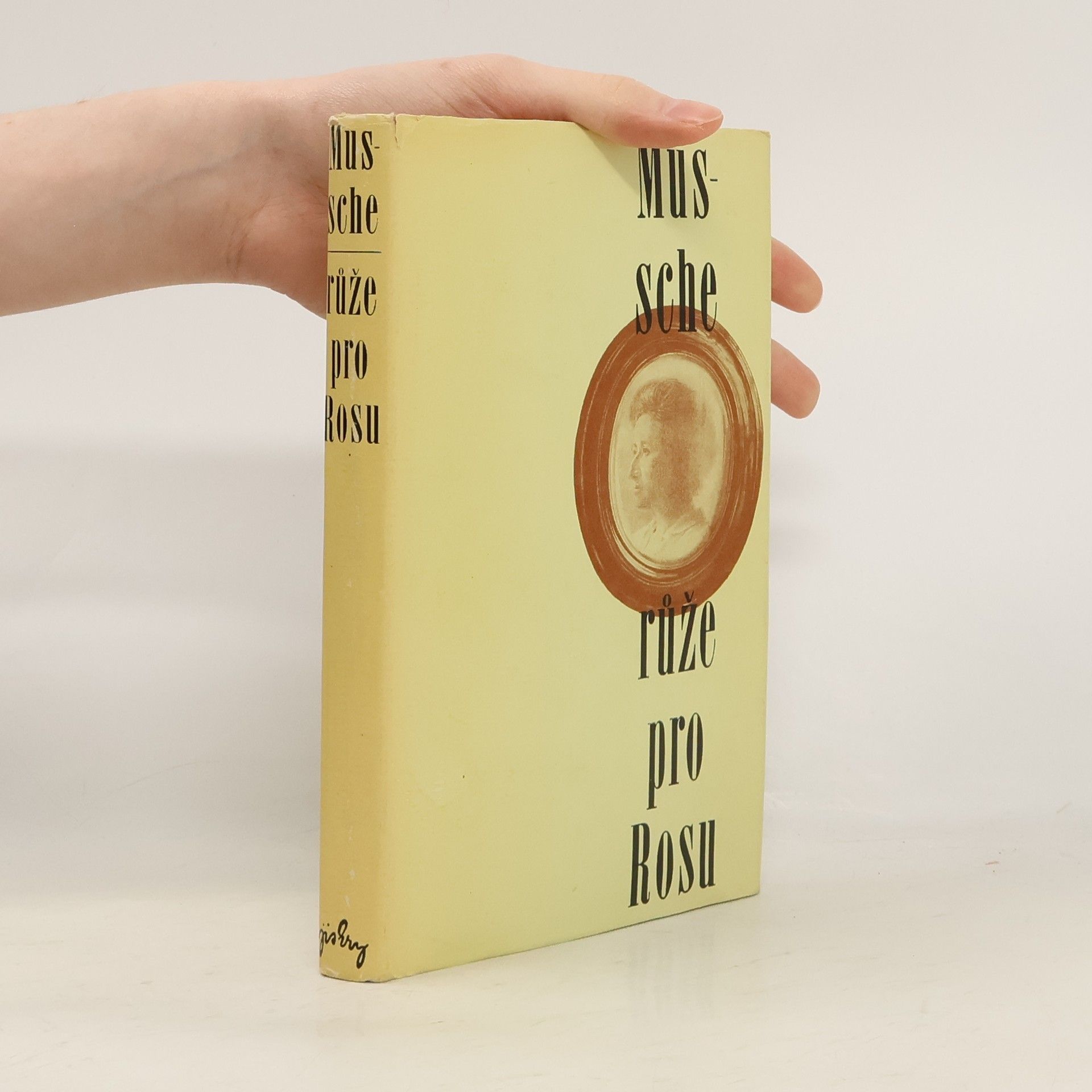 Achilles Mussche Růže pro Rosu