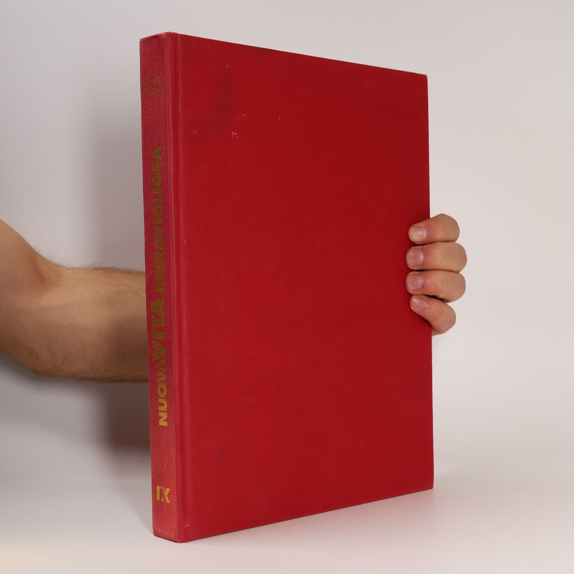 Kolektív autorov Nuova vita meravigliosa IX