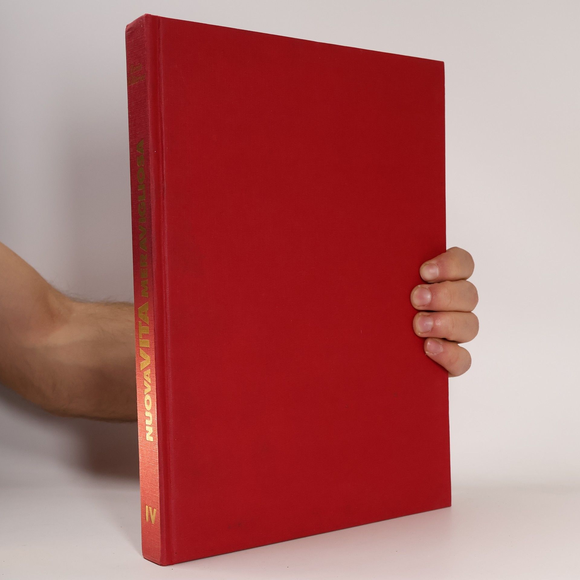 Autores varios Nuova vita Meravigliosa IV.