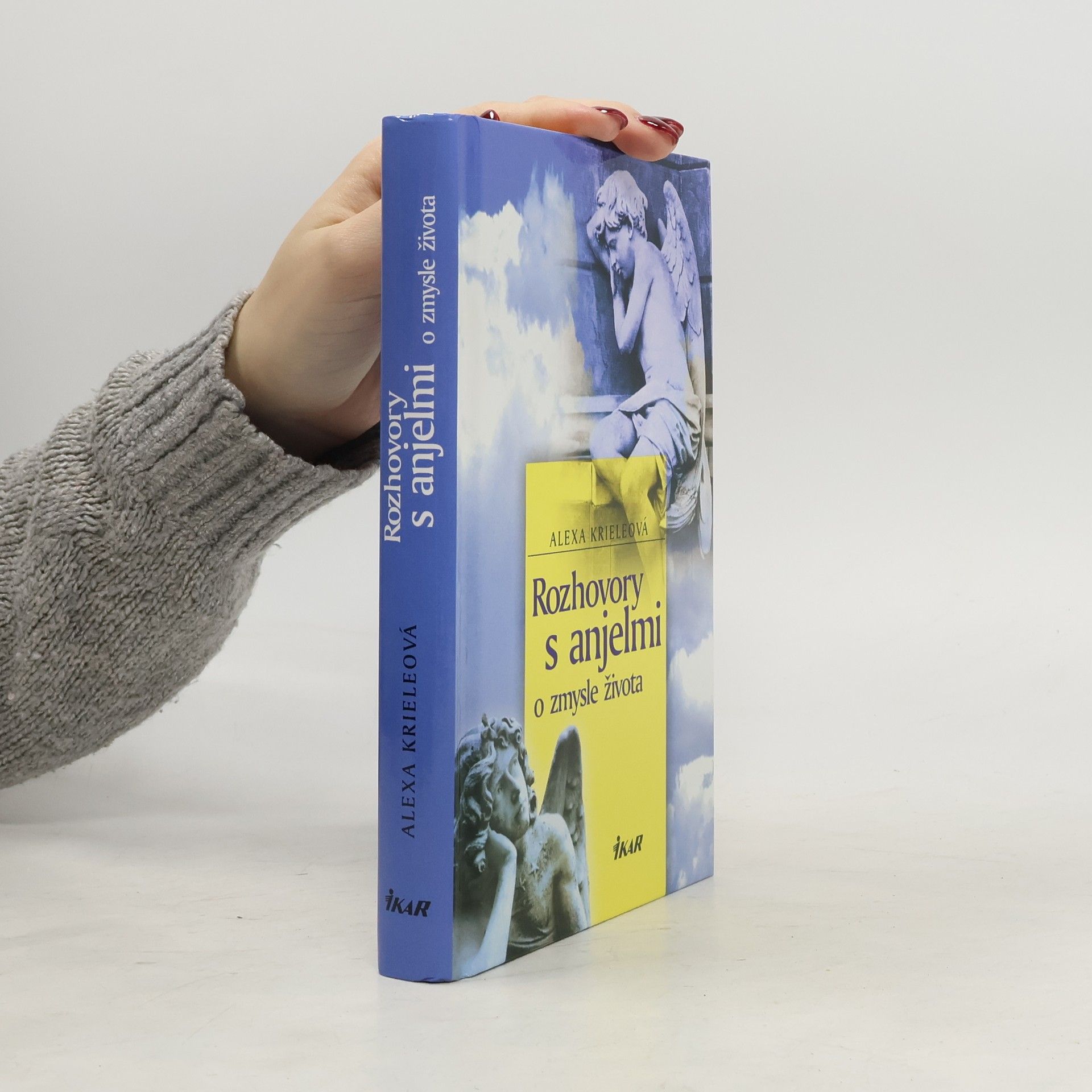 Rozhovory s anjelmi o zmysle života